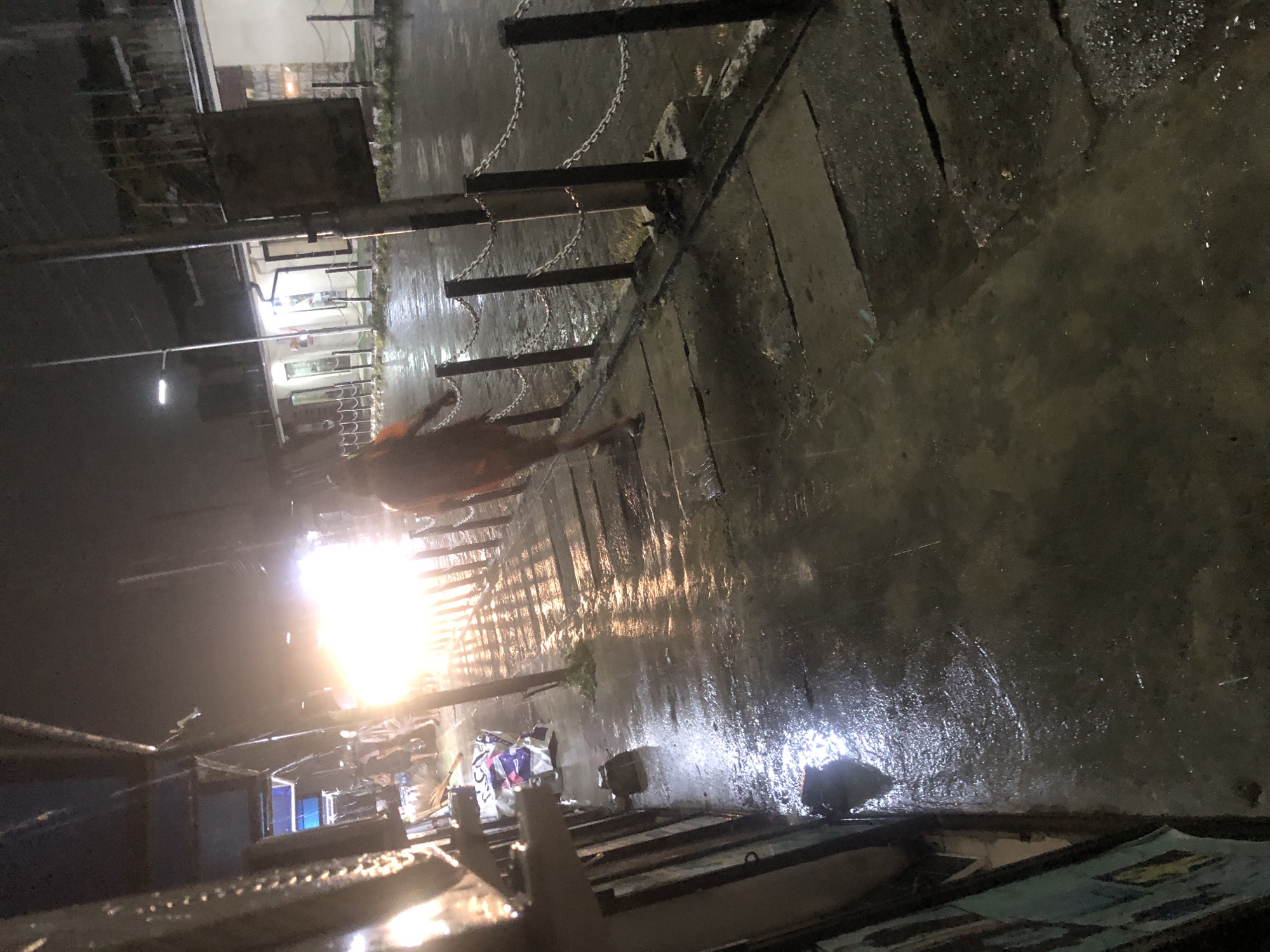 The image depicts a nighttime scene on a wet street in Ado, Nigeria. A person, appearing to be female, is walking away from the camera, dressed in an orange outfit. She is on a paved walkway adjacent to a street, which is illuminated by bright headlights of an unseen vehicle. The ground is wet and reflective, indicating rain or recent rainfall. A chain-link fence separates the walkway from what appears to be a building in the background. Debris and trash are scattered along the edge of the walkway. The overall atmosphere is dark and somewhat gritty, characteristic of a city street at night during wet weather.