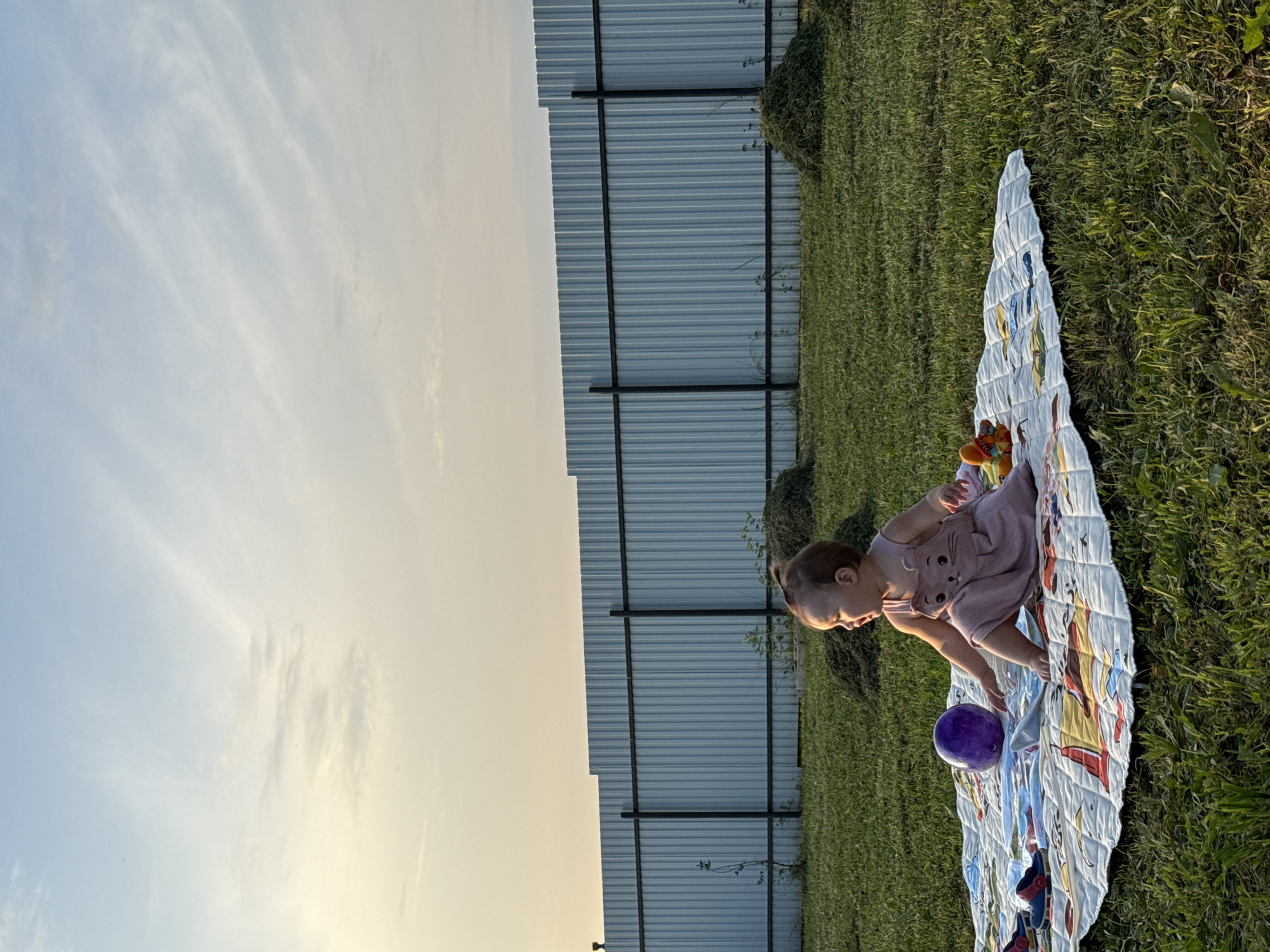 A young child is sitting on a blanket on a grassy lawn, with a purple ball, a toy, and a pair of shoes beside them. The child is wearing a pink dress with a cat face on it. A corrugated metal fence runs along the background, with piles of cut grass on either side. The sky is a pale blue with some wispy clouds, and the sun is setting, casting a warm glow on the scene. The location is the village of Podshivalovo, Russia.