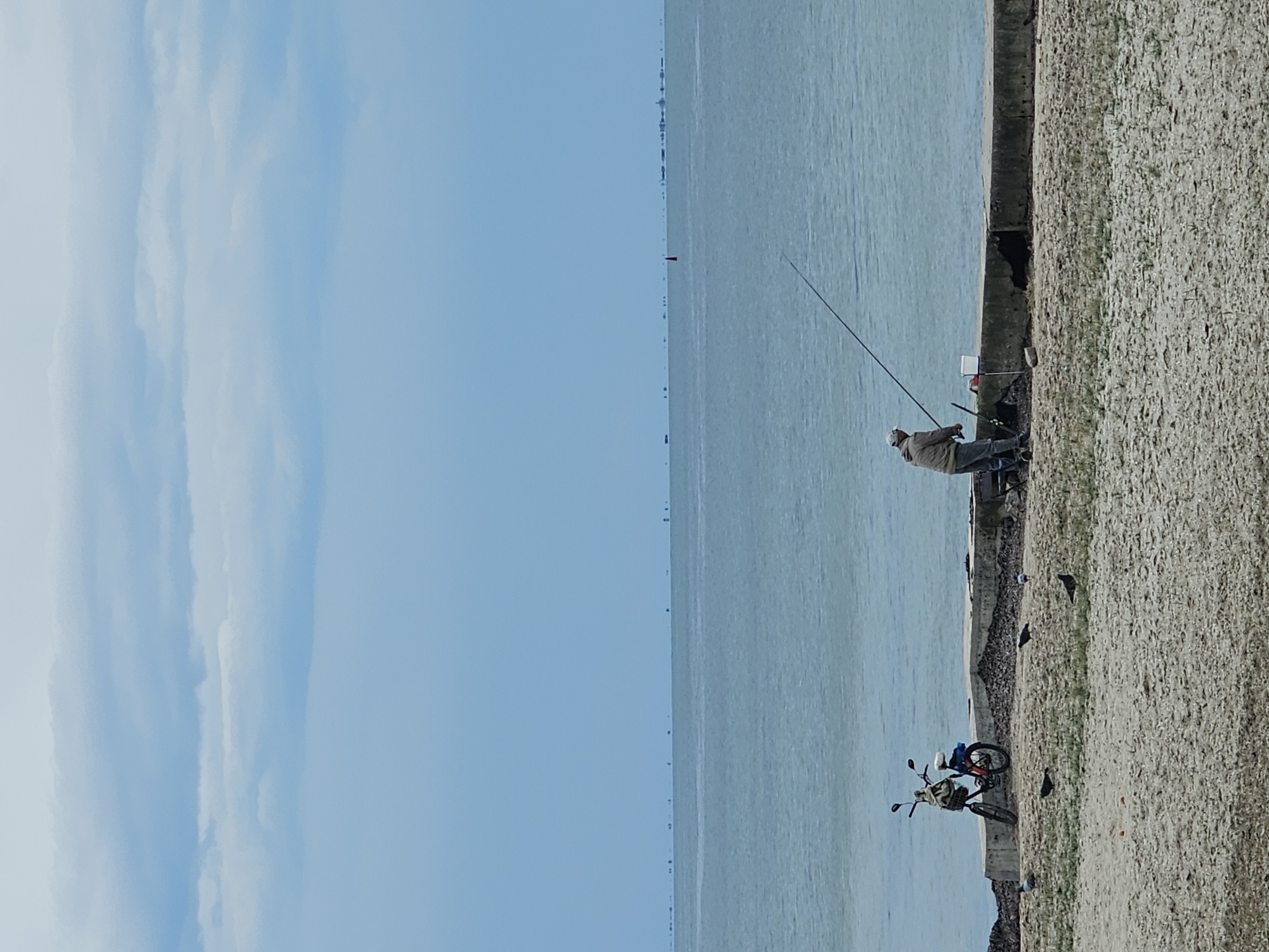 A lone fisherman stands on a concrete embankment beside a body of water, casting a fishing rod. To his left, a bicycle with a basket is parked. Several pigeons are scattered on the sandy ground in the foreground. The scene is set against a backdrop of a calm, blue sea meeting a hazy sky with distant, indistinct objects on the horizon. The lighting suggests an overcast day. The location is identified as Skadovsk, Ukraine.