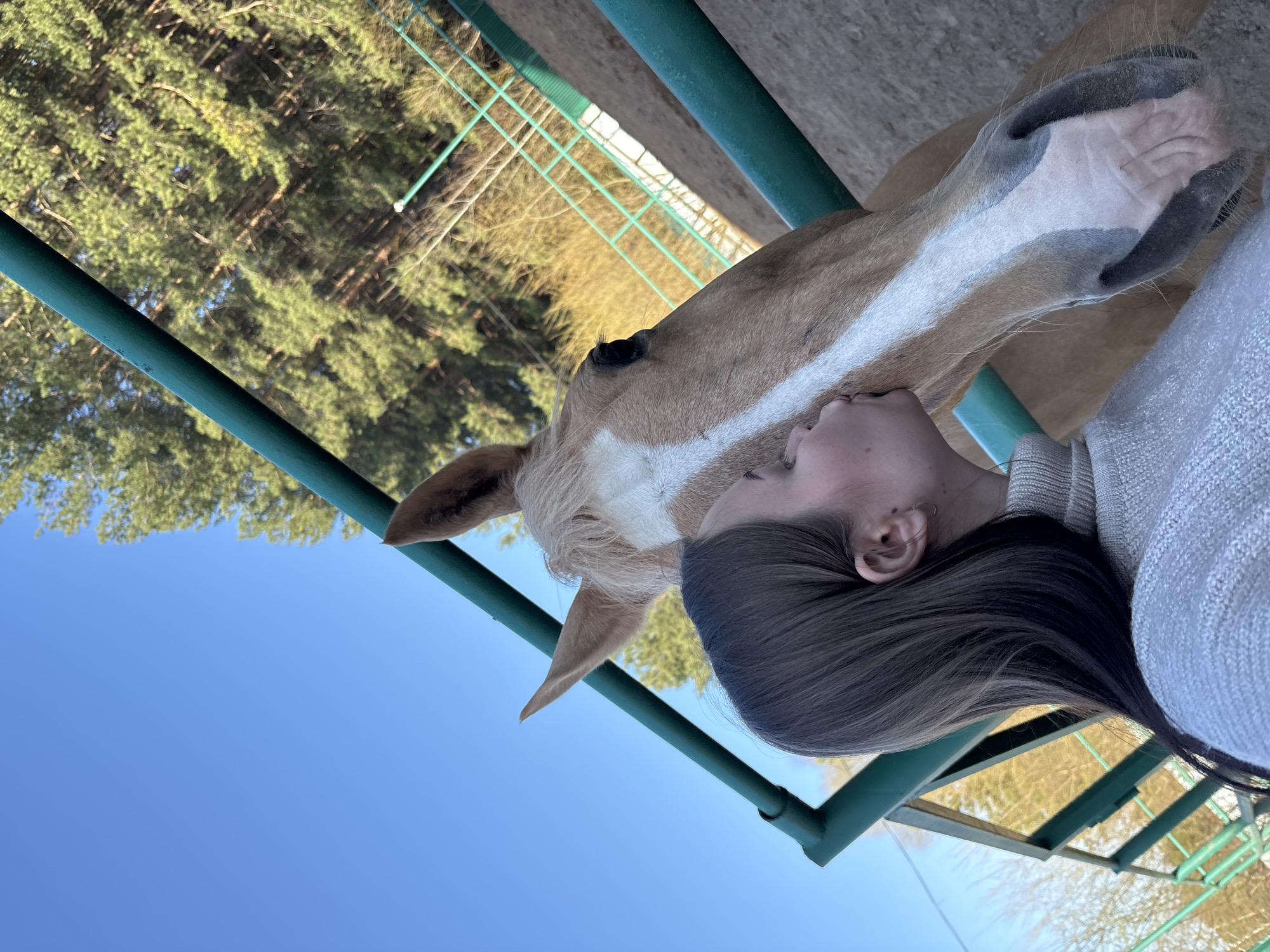 A woman with dark hair is close to a light brown horse with a white blaze in an outdoor setting. The woman's face is near the horse's head. A green metal structure is visible. Trees and a blue sky are in the background. The location is unspecified.