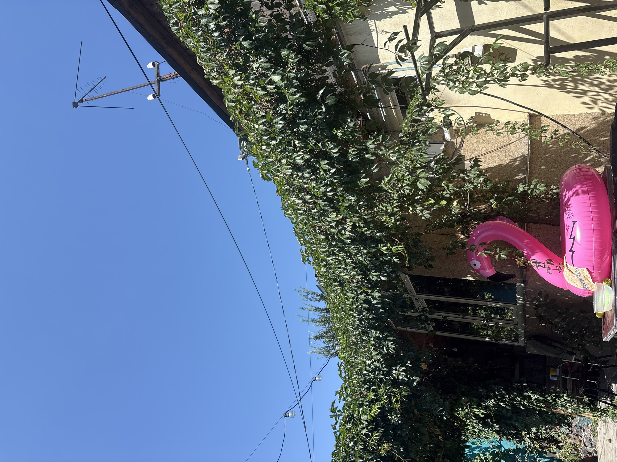The image shows an outdoor scene with a clear blue sky. A building, partially covered in green ivy, is visible on the right. A rooftop antenna and some electrical wires are present against the sky. In the foreground, a bright pink inflatable flamingo is placed on a table or surface. Some greenery and a partially visible building structure are also present. The scene is bathed in sunlight, casting shadows. The location is specified as the city of Almaty, Kazakhstan. There are no people visible in the image.