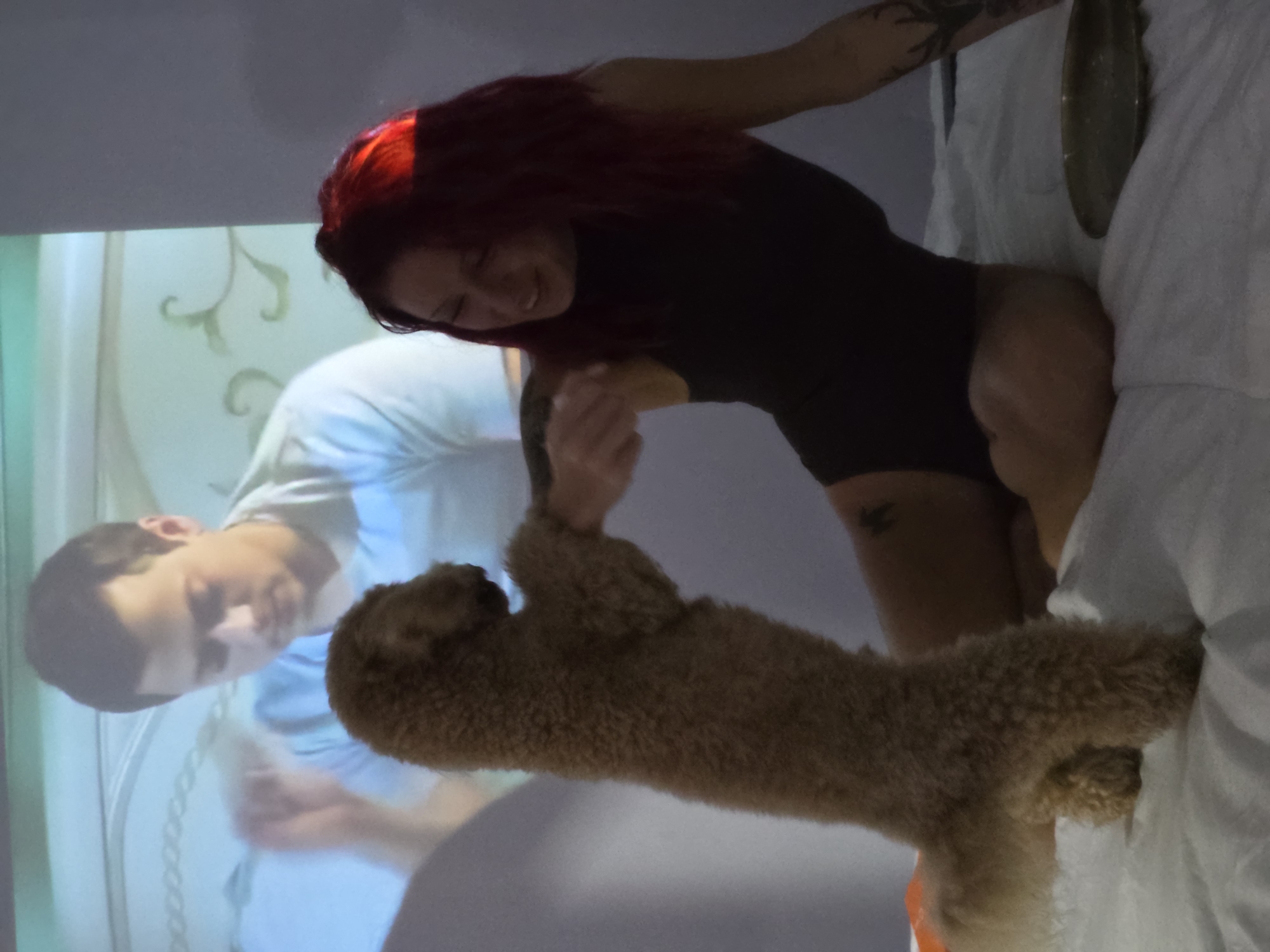 The image captures an indoor scene featuring a woman, a dog, and a projected image of a man. A woman with vibrant red hair, wearing a dark, sleeveless bodysuit, is kneeling on a bed covered in white bedding. She is smiling and looking down, engaged in interaction with a light brown, curly-haired dog. The dog is standing on its hind legs, with its front paws seemingly being held by the woman, suggesting a playful moment. Tattoos are visible on the woman's left arm and thigh.
Behind the subjects, a projection is displayed on a wall or screen. This projection shows a man with short dark hair, wearing a light blue t-shirt. The background of the projected image features a light green decorative pattern with swirls. On the bed, near the woman, a dark, oval-shaped object, possibly a dish or tray, is visible.
The lighting appears to be indoors, with the projection providing a significant light source, and highlights the woman's red hair with a noticeable glow. The woman's smiling expression indicates happiness and enjoyment of the activity. There is no visible text within the image. The location context for this image is Mengwi, Indonesia.