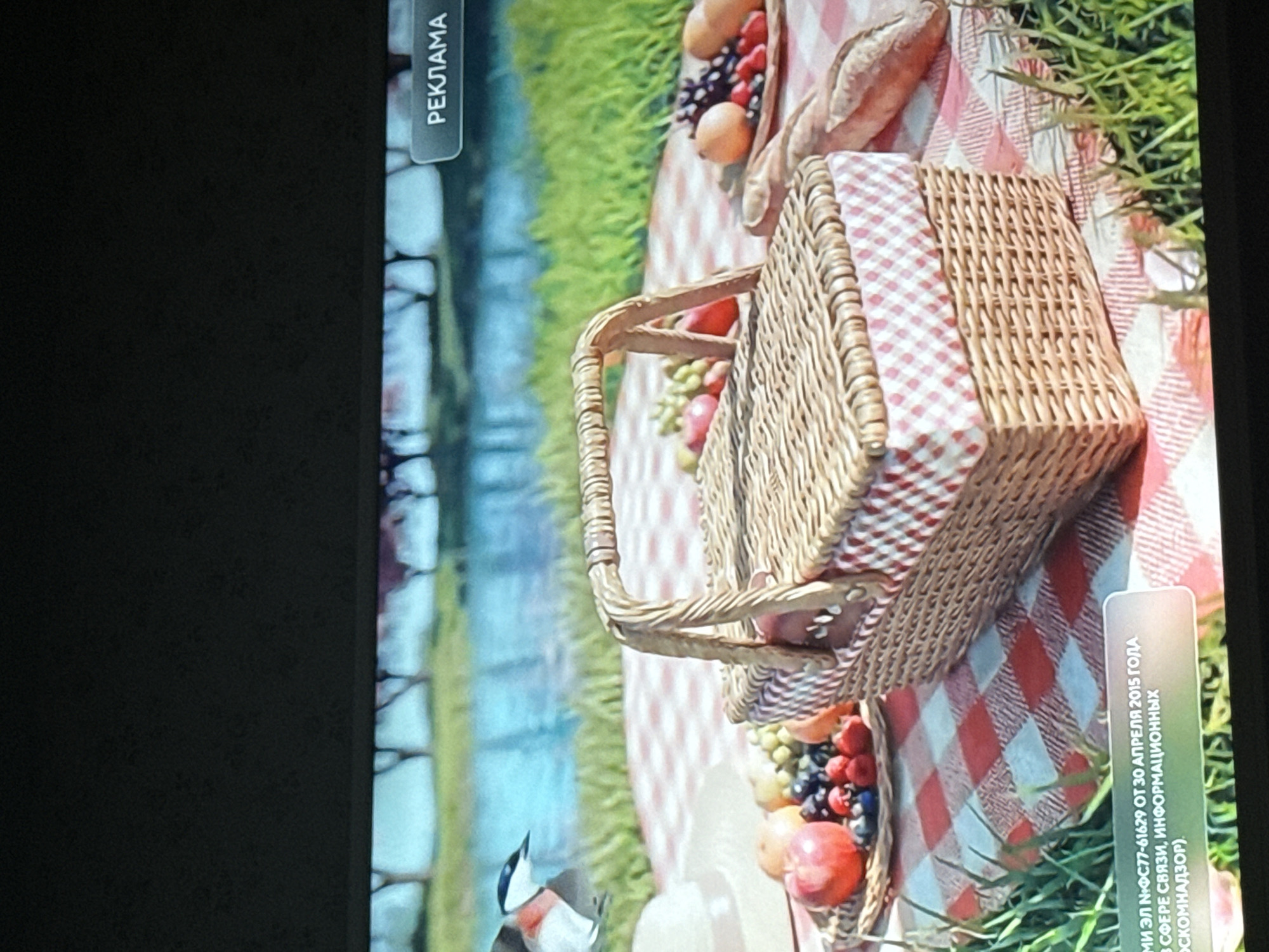 The image is a television screen showing a scene that appears to be an advertisement or a background for something being advertised. In the scene, there is a picnic basket with a red and white checkered pattern on top. There are fruits such as grapes, apples and other items that look like bread surrounding the basket, and a checkered blanket beneath. The setting seems to be outdoors, possibly in a park, with green grass visible in the background. On the left of the screen, there is a "РЕКЛАМА" button, suggesting that it's an ad. In the lower right corner is some Cyrillic text, which includes the date "30 АПРЕЛЯ 2015 ГОДА" (April 30, 2015) and the license number "№ФС77-61629". The text also references a regulatory agency related to communications and information. There's nothing in the image to indicate the location is in Mytishchi, Russia.