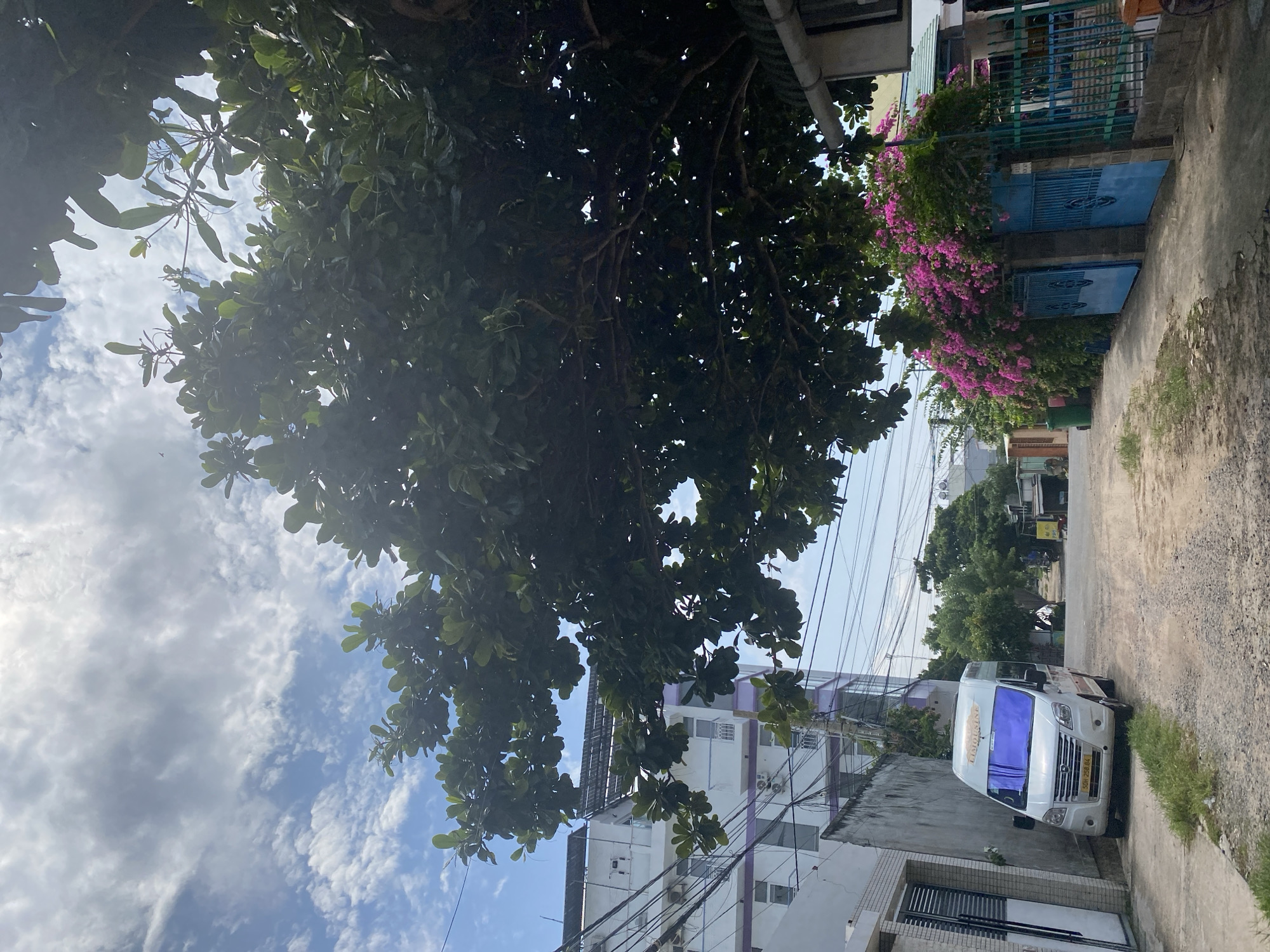 The image depicts a street scene in Mũi Né, Vietnam, under a partly cloudy sky. A large tree with dense green foliage dominates the upper right portion of the frame, its branches casting shadows over the scene below. On the left side of the street, a modern white multi-story building with purple accents and visible air conditioning units is visible. Adjacent to it is a gray wall with a white gate. A white van with tinted windows and the word "LIMOUSINE" written on its roof is parked on the side of the dirt and gravel road. Further down the street, on the right, is a blue metal gate and fence covered in vibrant pink bougainvillea flowers. The street appears to be a residential or mixed-use area, with more trees and buildings visible in the background. The overall impression is that of a sunny day in a somewhat rural or suburban part of Mũi Né.