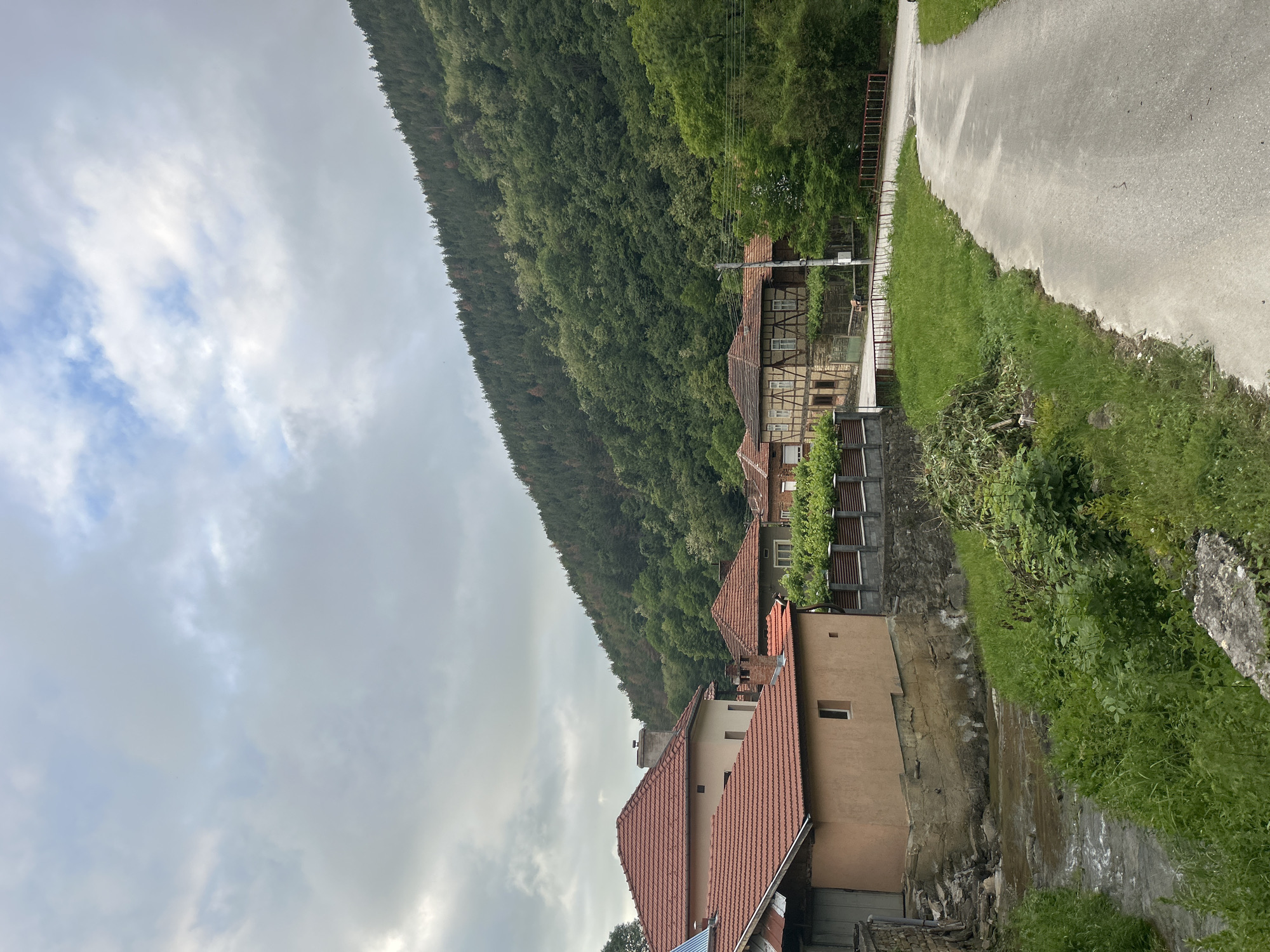 The image presents an overview of a small settlement situated at the foot of a heavily forested mountain or large hill under an overcast sky. The scene is rotated, appearing on its side.
In the middle and foreground, several houses are visible, featuring traditional architecture. Some houses exhibit a half-timbered construction with white walls and dark wood beams, while others have plastered walls, predominantly in beige or light brown tones, topped with distinctive red or orange tiled roofs. Chimneys are visible on some rooftops. Utility poles and power lines run above and between some of the buildings.
The forested hillside, densely covered with green trees, forms a steep backdrop on the left side of the frame. To the right, a paved road or path snakes uphill, bordered by lush green grass verges. In the immediate foreground, a narrow stream or wet ditch flows alongside one of the buildings, suggesting recent rainfall or a permanent water feature.
The sky is largely cloudy, with varying shades of grey and some brighter patches indicating diffused daylight. No direct sunlight is apparent, suggesting an overcast day. No people are visible, and no specific activities are taking place. There is no visible text. The overall setting evokes a peaceful, rural European landscape.