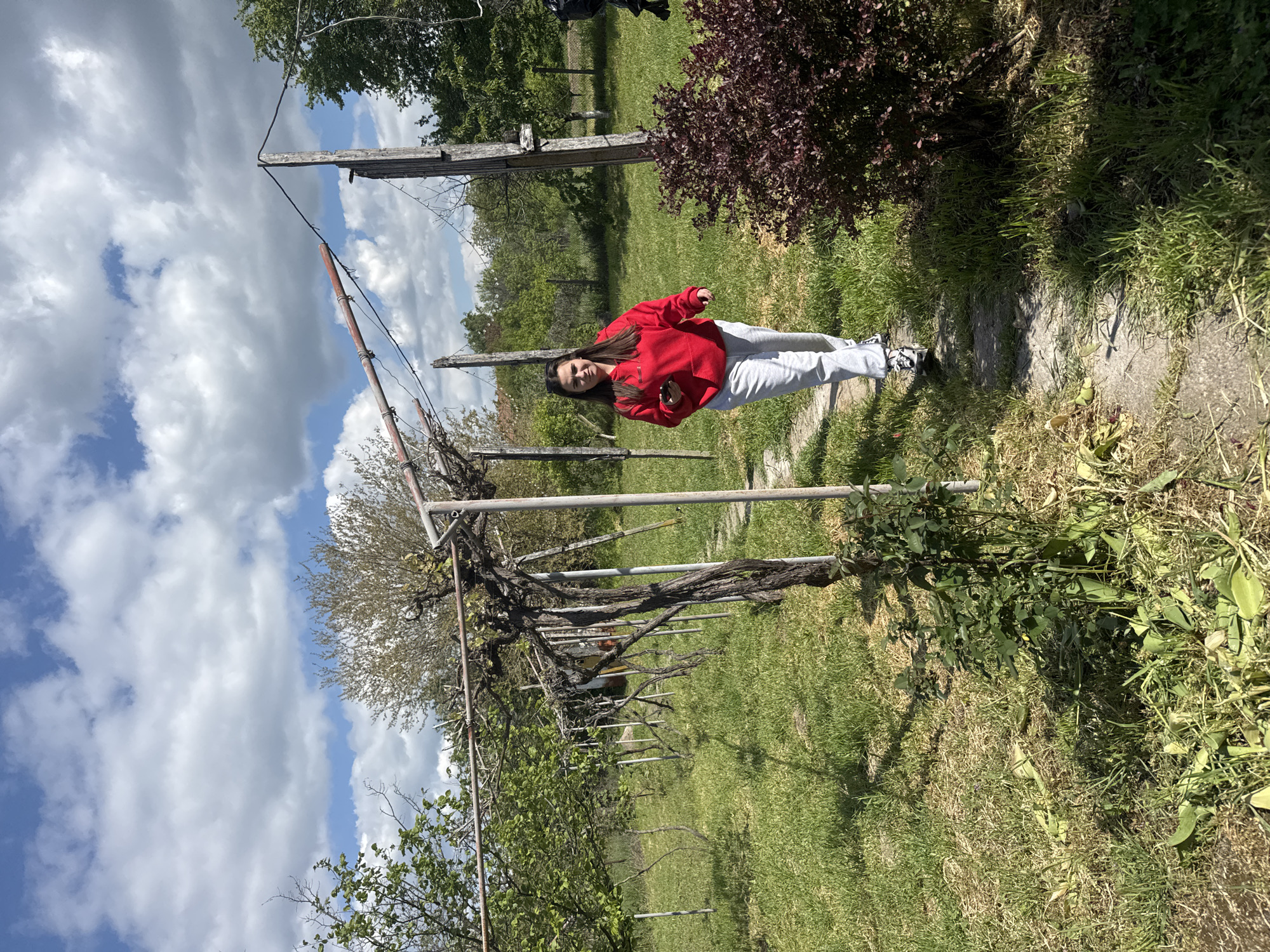 A young woman stands outdoors in a sunny, grassy area near Drenovets, Bulgaria. She wears a red sweatshirt and light gray sweatpants. She is facing the camera. Behind her is a low vineyard trellis and a few weathered wooden poles. The sky above shows a mix of blue and puffy white clouds. To her right is a pathway and a dark-leafed shrub. The surrounding area appears to be a rural or garden setting.