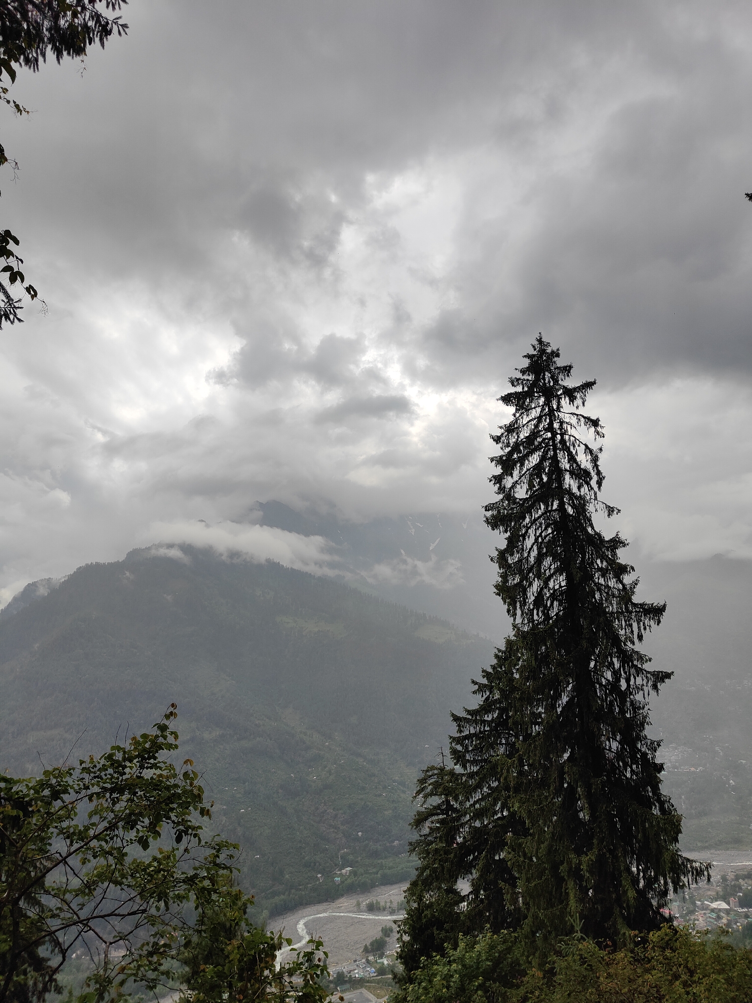 The image depicts a dramatic, overcast sky over a mountainous landscape in Vashisht, India. In the foreground, a tall, dark green coniferous tree dominates the right side of the frame, its dense foliage silhouetted against the grey sky. To the left, branches of another tree with lighter green leaves extend into the upper left corner.
The mid-ground reveals a steep, densely forested mountain slope, partially obscured by wisps of low-hanging clouds that also shroud the peaks in the distance. A winding river, appearing silvery-grey, meanders through the valley below, bordered by a small settlement with scattered buildings. The overall impression is one of rugged natural beauty, possibly enhanced by the moody, atmospheric weather.