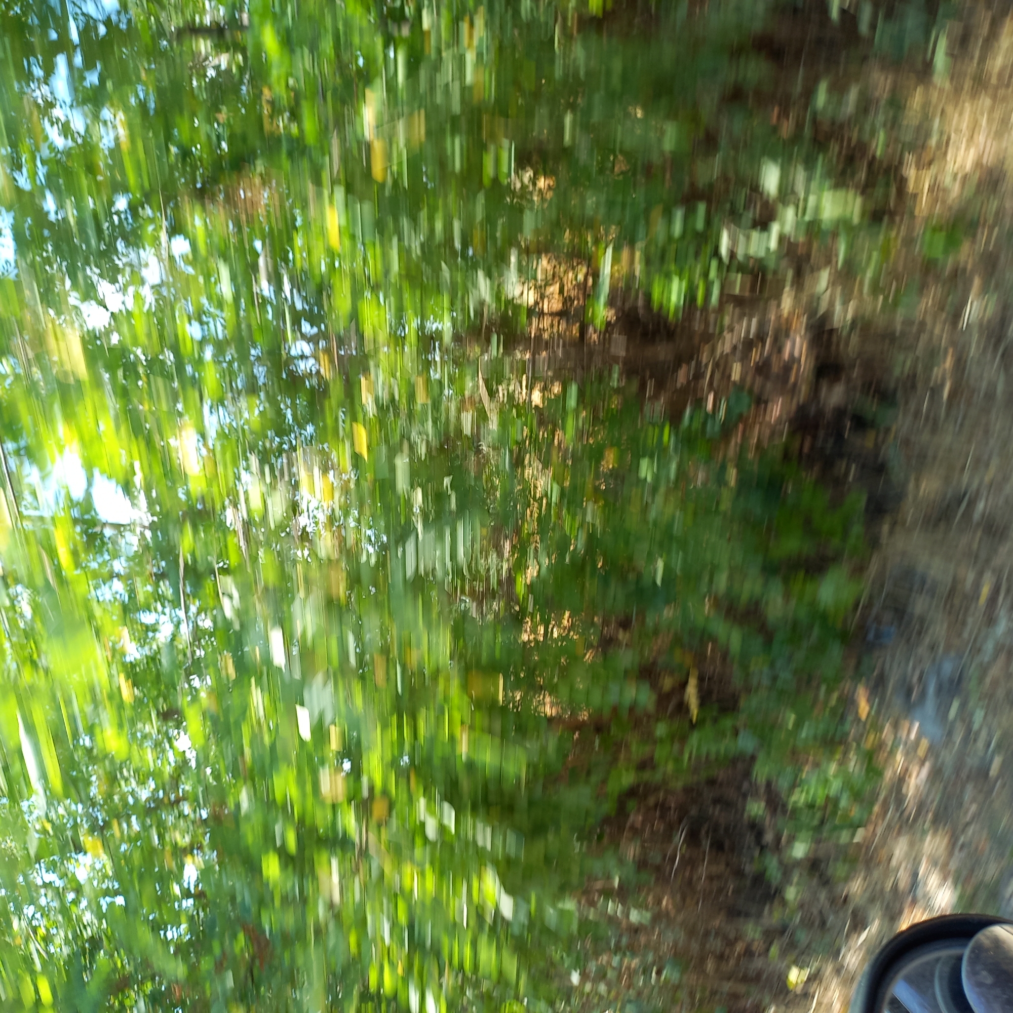 The image is a blurred, motion-captured view of trees and foliage from a moving vehicle. The scene is dominated by various shades of green, with streaks of yellow and brown indicating sunlight filtering through the leaves and possibly the ground cover. In the lower left corner, a portion of a dark-colored rearview mirror is visible, suggesting the perspective is from inside a car. The overall impression is one of passing through a wooded or overgrown area, possibly along a road. The context provided states the location is the city of Klyntsi, Ukraine, which places this scene within a rural or semi-rural setting in that region.