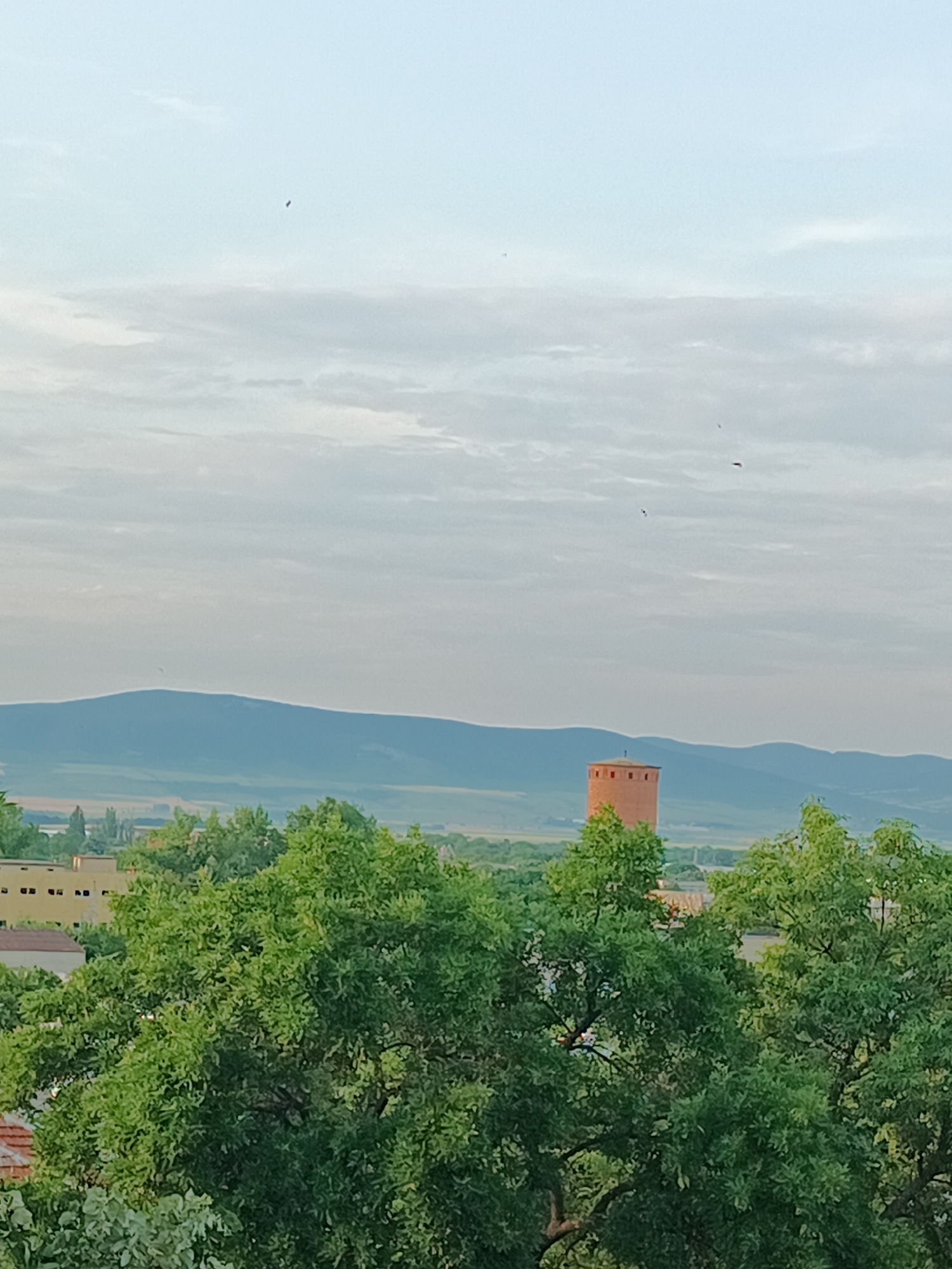 The image presents a panoramic view of a landscape, likely taken from an elevated position in Unknown, Unknown, under an overcast or hazy sky. The upper two-thirds of the frame consists of a light blue-grey sky with diffuse cloud formations. Several small, dark, irregular shapes, consistent with birds or distant airborne objects, are scattered across the sky.
The horizon is defined by a range of rolling hills or mountains, appearing as a dark blue-green silhouette against the lighter sky. Below these hills, the mid-ground shows varied terrain with shades of green and brown, suggesting cultivated fields or natural vegetation. A prominent reddish-brown, cylindrical tower with a flat top and several small, dark, rectangular openings near its upper edge stands in the mid-ground, positioned to the right of the frame's vertical center.
The lower half to third of the image is dominated by the dense, vibrant green foliage of multiple large trees, which partially obscure the immediate foreground and mid-ground structures. Through the trees on the left side, a section of a light-colored building, possibly cream or light yellow, with numerous small, dark, rectangular windows, is visible. A small corner of a reddish-brown tiled roof is also discernible in the far lower-left portion of the frame, peeking from behind the foreground trees. No people are visible in the scene.