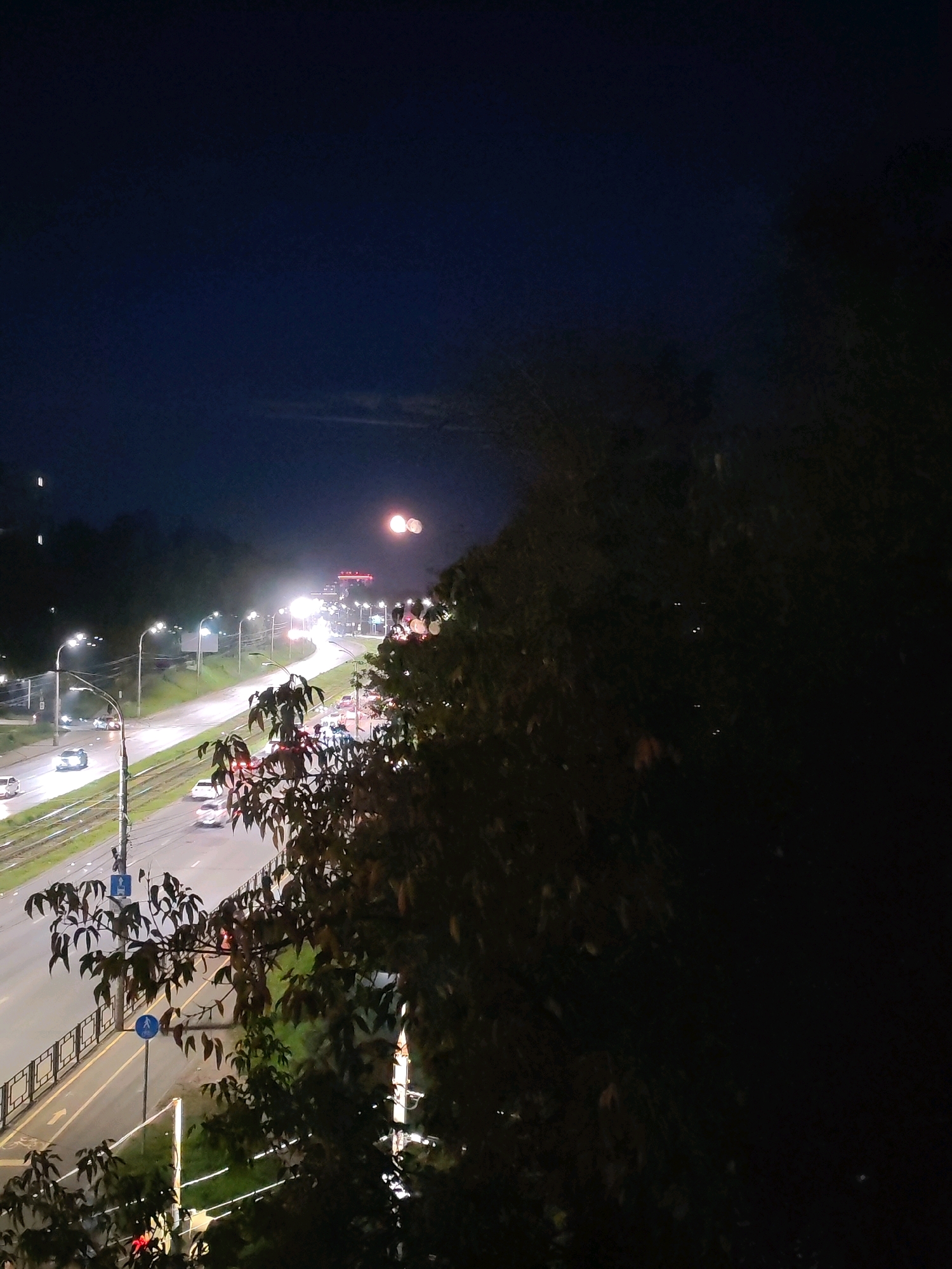 The image depicts a nighttime scene on a wide, multi-lane road in Izhevsk, Russia. The road is illuminated by numerous streetlights, casting a bright glow on the wet asphalt, suggesting recent rain. Several vehicles are visible, including cars and what appears to be a tram or trolleybus track running alongside the road. The traffic appears moderate, with vehicles moving in both directions.
In the foreground, dense foliage from trees partially obscures the view, with some leaves and branches silhouetted against the illuminated road and sky. The sky is dark, with a deep blue hue, and a faint cloud formation is visible in the upper portion of the frame. In the distance, more lights from buildings and possibly streetlights are visible, forming a cityscape. There is no indication of any people or significant human activity other than the operation of vehicles on the road. The overall impression is of an urban environment at night, with a focus on the road infrastructure and the interplay of artificial light with the natural elements of trees and sky.