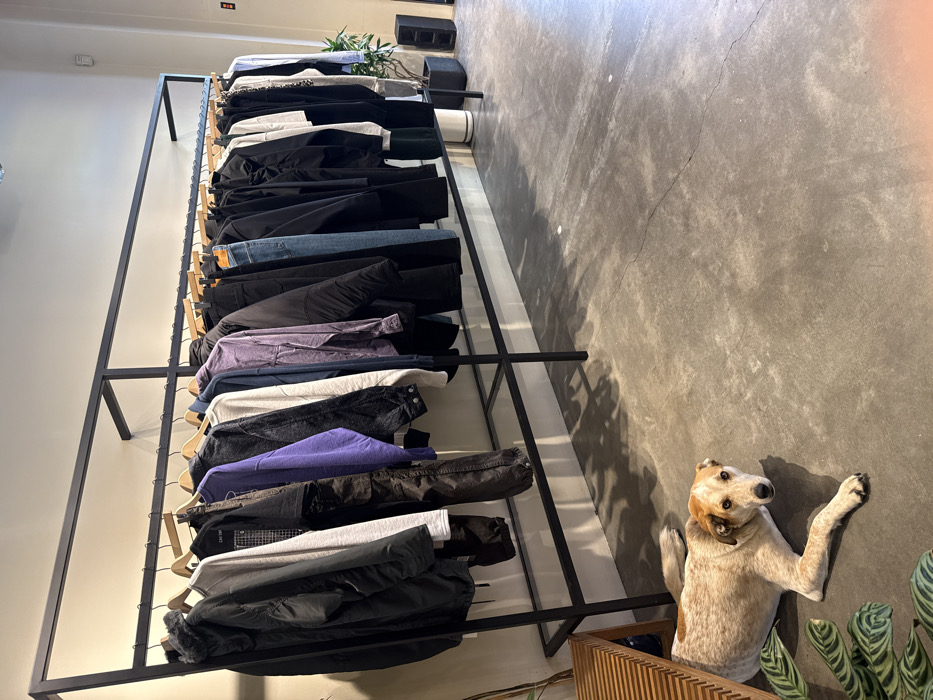 An interior photograph depicts a retail space or showroom. A medium-sized dog with a light-colored, cream and reddish-brown speckled coat lies prone on a grey concrete floor in the foreground, its head slightly raised and gaze directed toward the camera. To the left of the dog, green foliage from a potted plant is partially visible, alongside a section of a slatted wooden bench.
Dominating the midground and background is a long, black metal two-tiered clothing rack, extending horizontally across the frame. It displays approximately 30-40 various garments, including jackets, shirts, and jeans, hung on wooden hangers. The clothing is primarily in dark and muted tones such as black, grey, blue, purple, and white.
The room features light-colored, unadorned walls and a worn concrete floor with visible cracks. In the far right background, a potted plant in a dark container and a dark rectangular speaker or electronic device are positioned against the wall. Natural light or bright overhead lighting illuminates the scene, casting shadows from the clothing rack onto the floor. No individuals are present in the image. The specific location within the city of New York, United States of America, cannot be determined from the visual information provided.