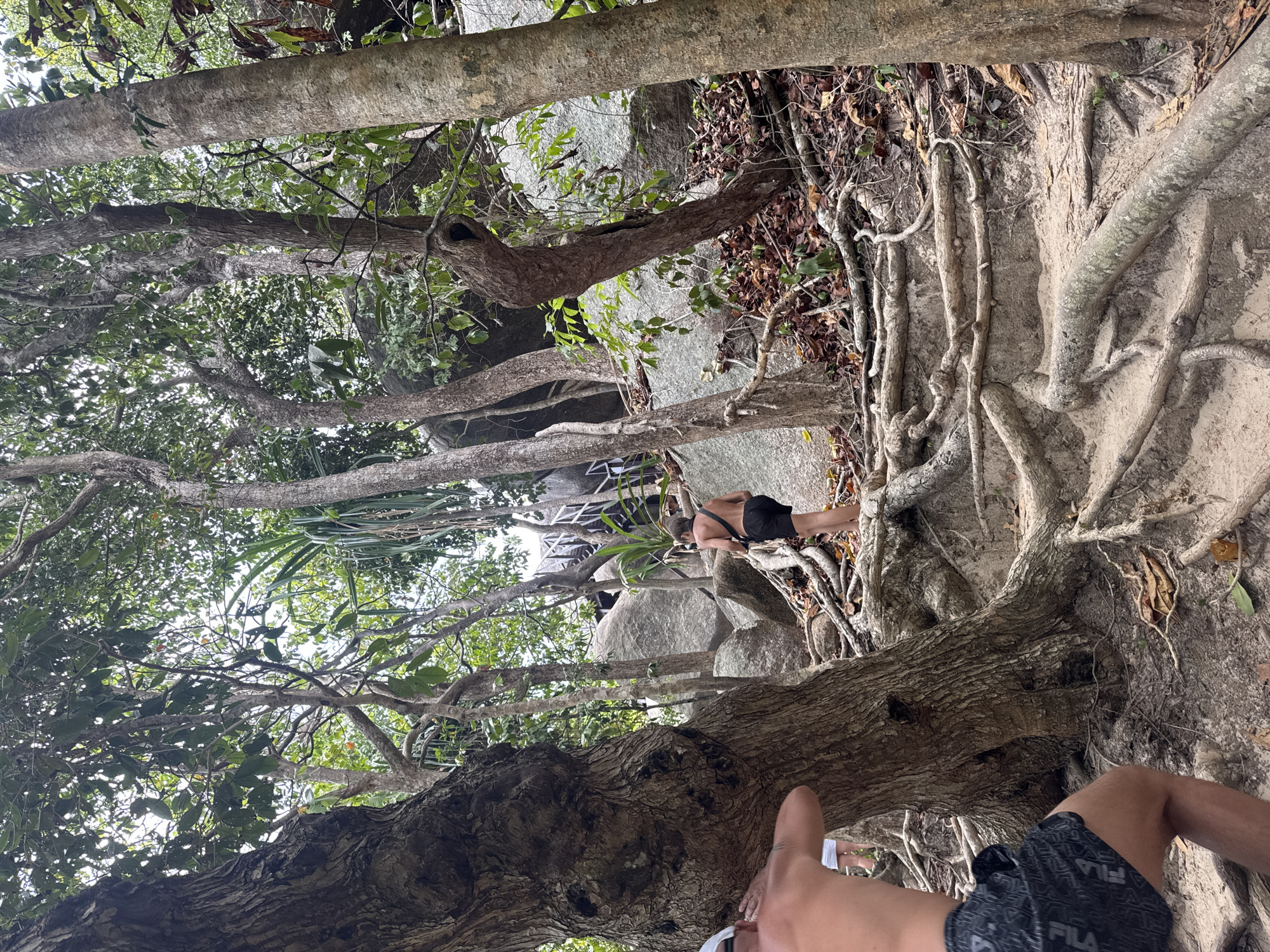 A landscape-oriented shot depicts a rugged terrain in Lam Kaen, Thailand, dominated by a dense network of tree trunks, roots, and boulders. A person wearing black shorts is seen climbing over a root-covered slope. Another person's leg is partially visible in the foreground, wearing black and grey patterned shorts with the "FILA" logo. Overhead, tree branches and foliage obscure the sky, with glimpses of a structure visible in the distance.