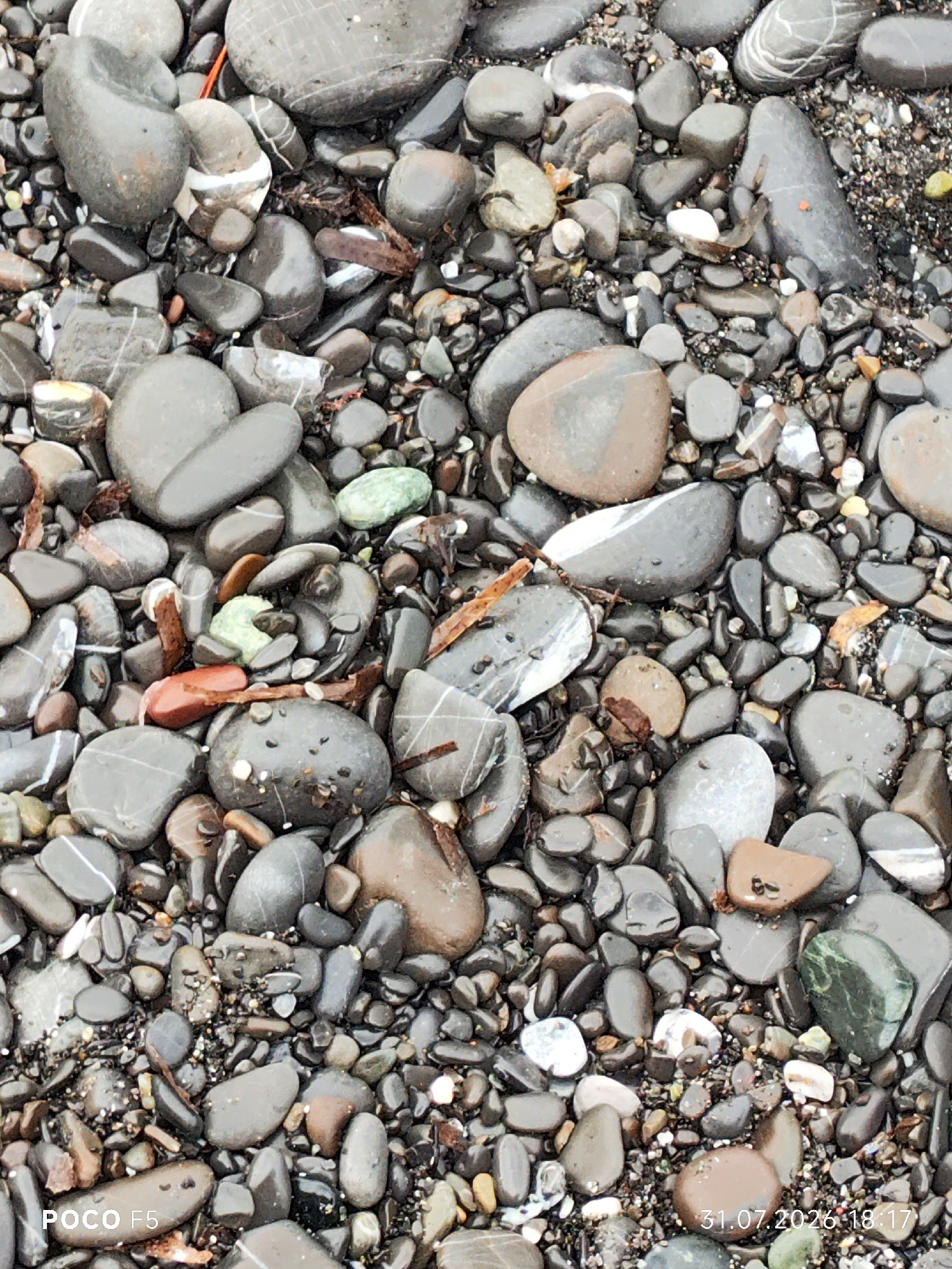 The image shows a close-up, overhead view of a collection of pebbles and small stones on a beach. The stones are of various sizes, shapes, and colors, predominantly grey, brown, and some with white striations. There are also specks of black sand interspersed among the pebbles. A few pieces of dried seaweed or plant debris are visible. The lower left corner of the image has the text "POCO F5" and the lower right corner has the text "31.07.2026 18:17". The scene is likely a natural environment, such as a beach in Camogli, Italy, given the context of the request. There are no people or visible actions depicted in the image.