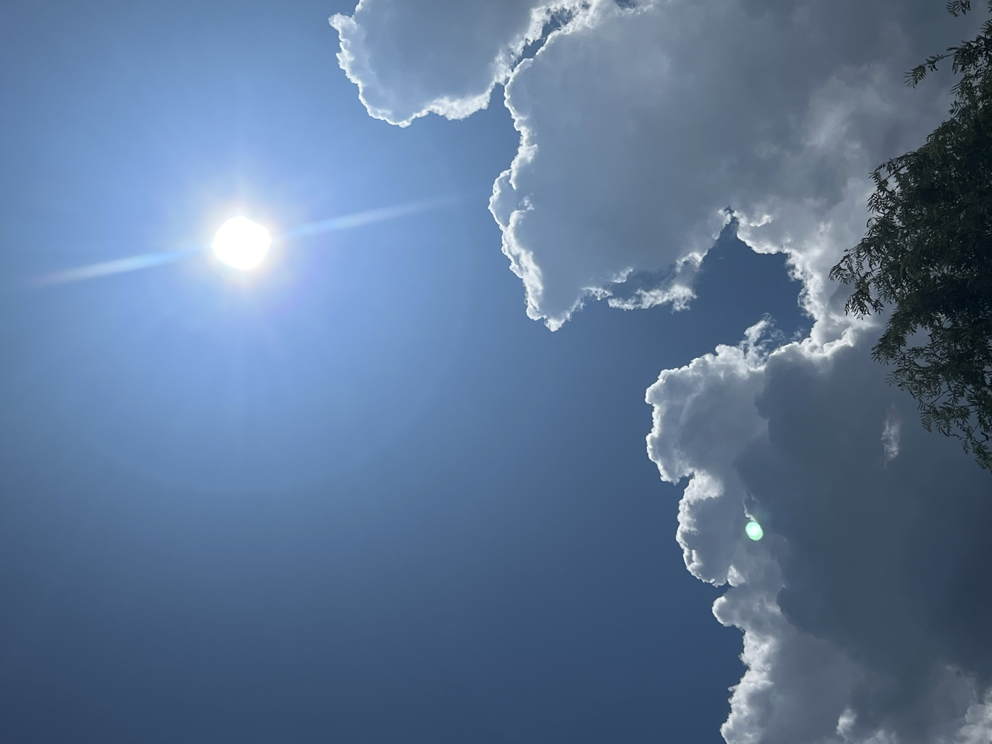 The image is an outdoor, low-angle, vertical shot of a bright blue sky with fluffy white clouds and a portion of green foliage in the lower right corner. The sun is prominently displayed in the upper right quadrant of the sky, emitting a strong lens flare that streaks downwards. Several large, dramatic clouds are visible, some illuminated brightly by the sun and others appearing darker and more shadowed. The foliage in the foreground is out of focus. There are no people or discernible man-made structures visible, suggesting a natural or semi-natural environment. The scene captures a dynamic sky with a mix of sunlight and cloud cover. The location is identified as Mochishche, Russia.