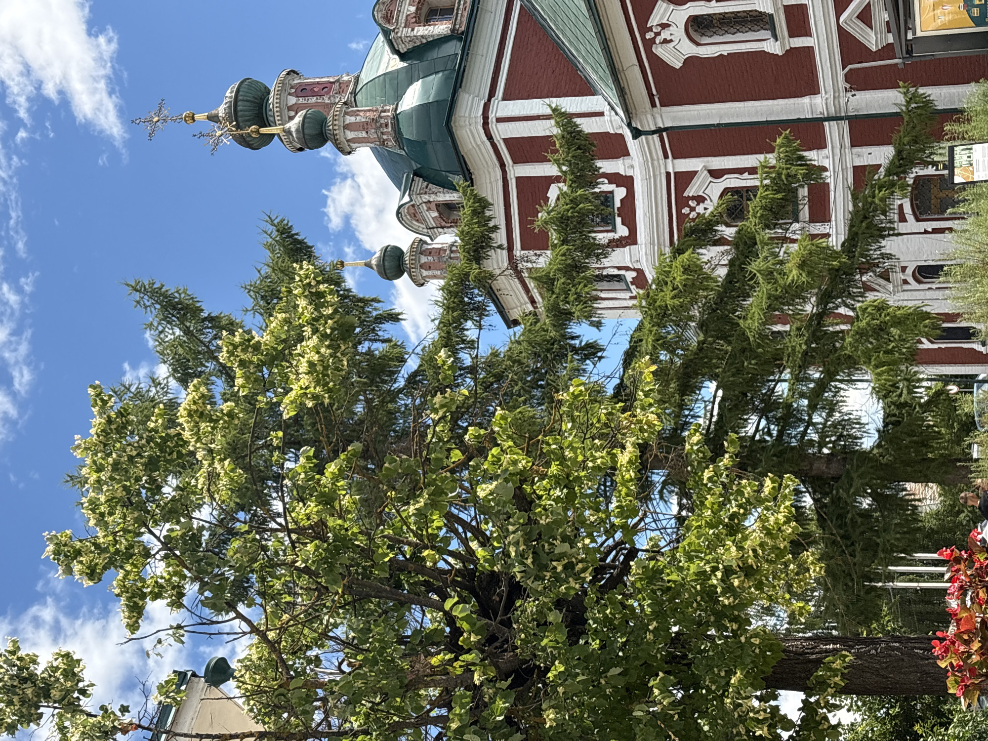 This media file depicts the exterior of a red brick church with green domes and golden crosses against a bright blue sky with scattered white clouds. The church's architecture features white ornate trim around windows and along the roofline. In the foreground, a large tree with lush green foliage, some of which appears variegated with lighter green or white, partially obscures the view of the church. The tree's branches are thick and spread widely. The overall scene suggests it is daytime, with clear, sunny weather. The low angle of the shot emphasizes the towering presence of both the church and the tree. The location is identified as Pereslavl-Zalessky, Russia. There is no discernible activity or event taking place, and no text is clearly visible.
