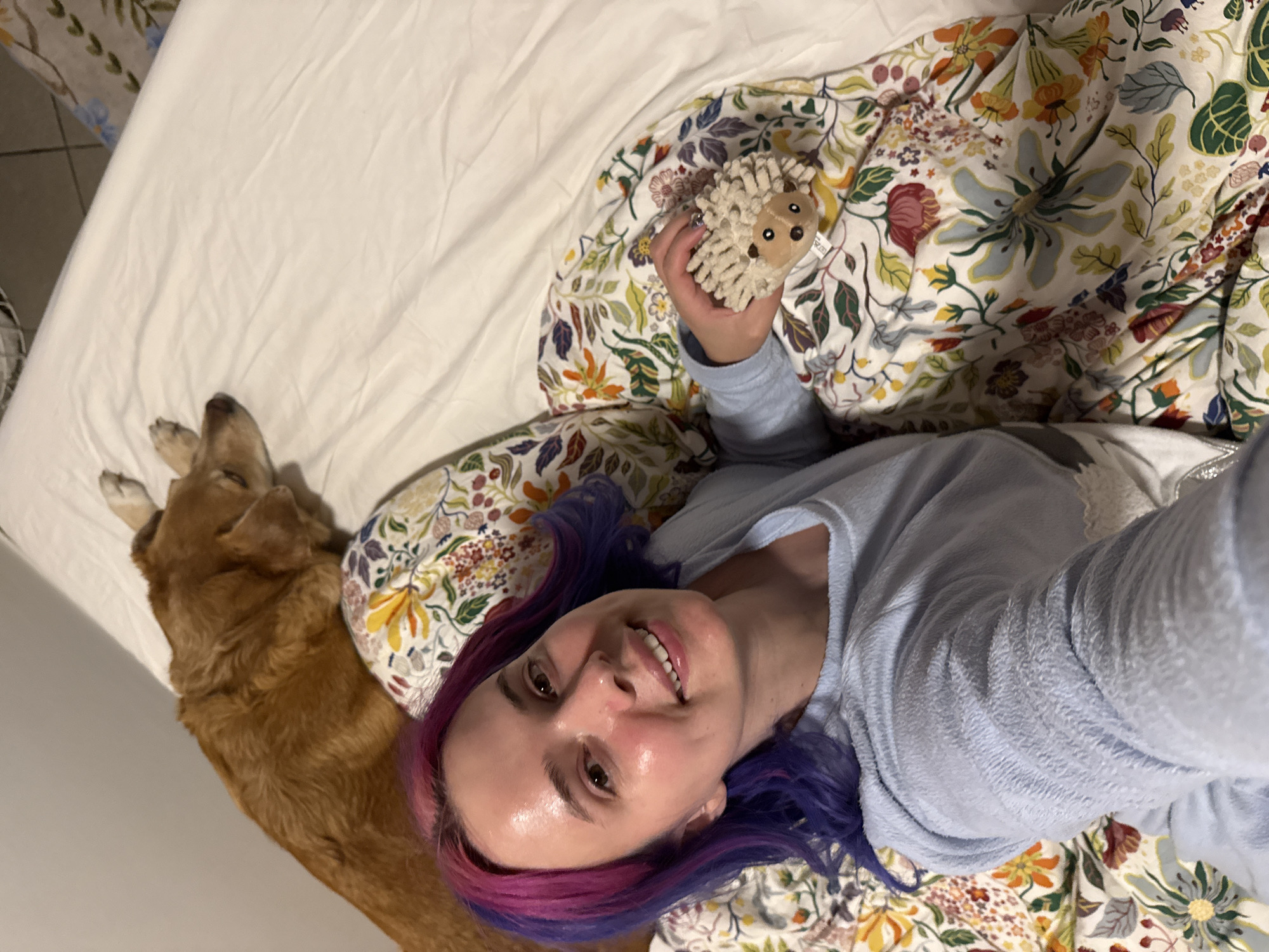 The image shows a woman lying on a bed in an interior space. The location in the city of Zagreb, Croatia is unknown.
The woman has dyed pink and purple hair and is wearing a light blue sweater. She is smiling and looking directly at the camera, holding a small, stuffed hedgehog toy in her right hand. Next to her, partially visible on the left side of the frame, is a golden-brown dog lying on the bed.
The bed is covered with a white sheet and a floral-patterned duvet cover with various colored flowers and leaves. The floor appears to be tiled. The lighting is soft and appears to be diffused.