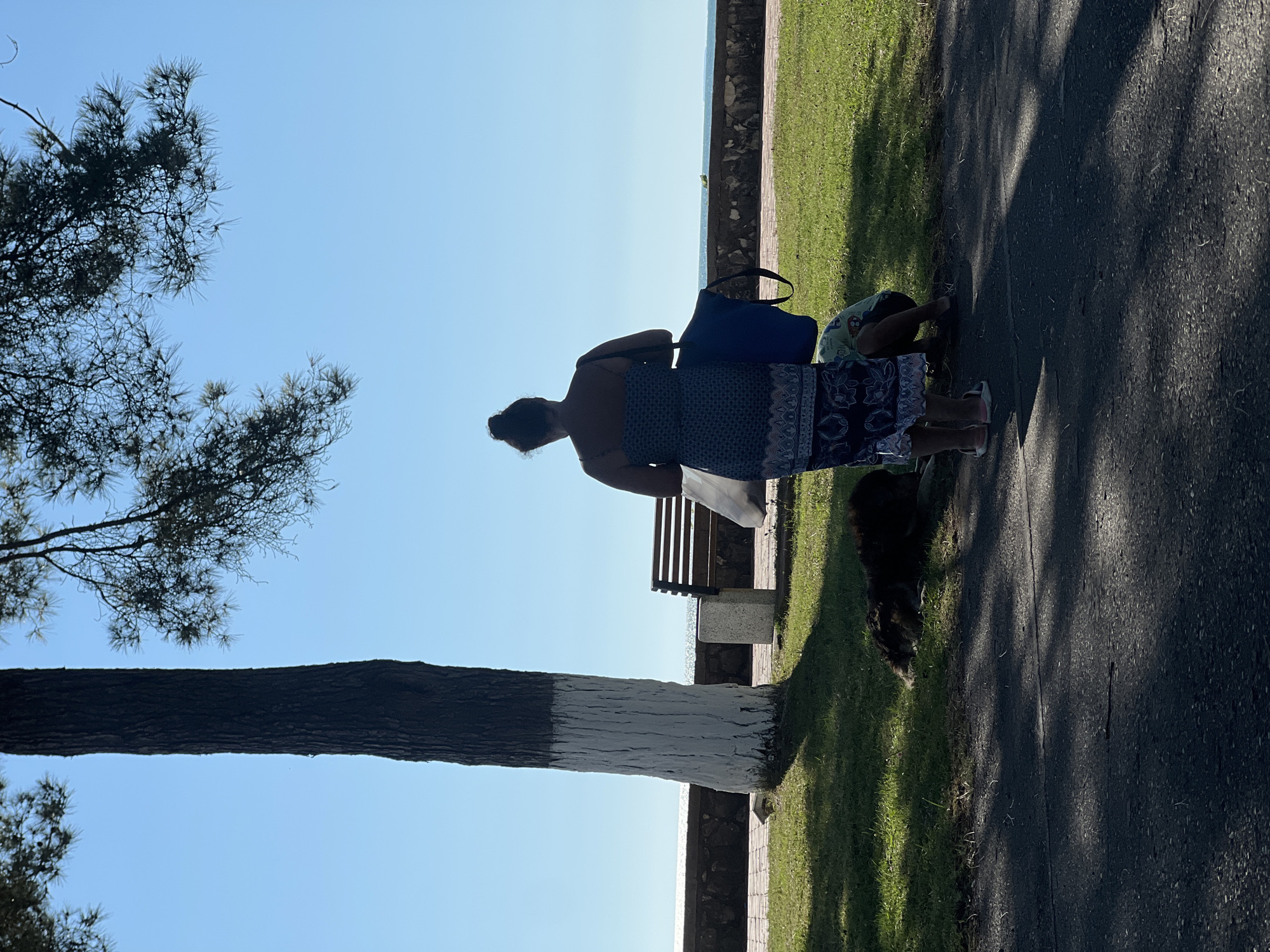 In Ochamchire, Abkhazia, a woman stands facing away from the camera on a paved path, holding a blue tote bag and a white plastic bag. She is wearing a dark, patterned dress. Beside her, a person, possibly a child, is crouched down. To the left, a large tree with a white-painted base stands in a grassy area. A dark-colored dog lies on the grass near the tree. In the background, a wooden bench is visible next to a stone planter, with a stone wall and the sea beyond. The sky is clear and blue.