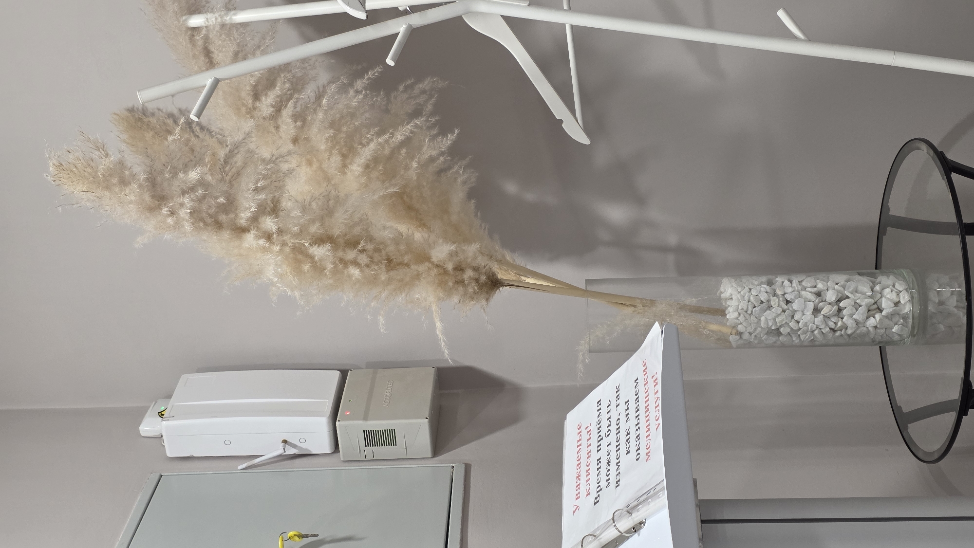 An indoor scene depicts a section of a room, likely a waiting area or reception, with light-colored walls. Dominating the upper left of the image is a large arrangement of pampas grass, light brown and feathery, with its stems extending into a clear glass vase filled with white decorative pebbles on the right. Above the pampas grass, a white, minimalist coat rack with multiple hooks is mounted.
To the lower left, two electronic devices are mounted on the wall: a larger white box with an antenna and a smaller beige/grey box displaying a red indicator light. Below these devices, a grey metal panel or access hatch is partially visible. On the right side of the image, a sign in a white binder or stand is prominently displayed. The text on the sign, written in Russian, translates to: "Dear clients! Appointment time may be changed, as we provide medical services!" Part of a circular, black-framed object, possibly a mirror or another decorative element, is visible on the far right. The overall atmosphere appears neutral and functional, characteristic of a medical or service-oriented establishment.