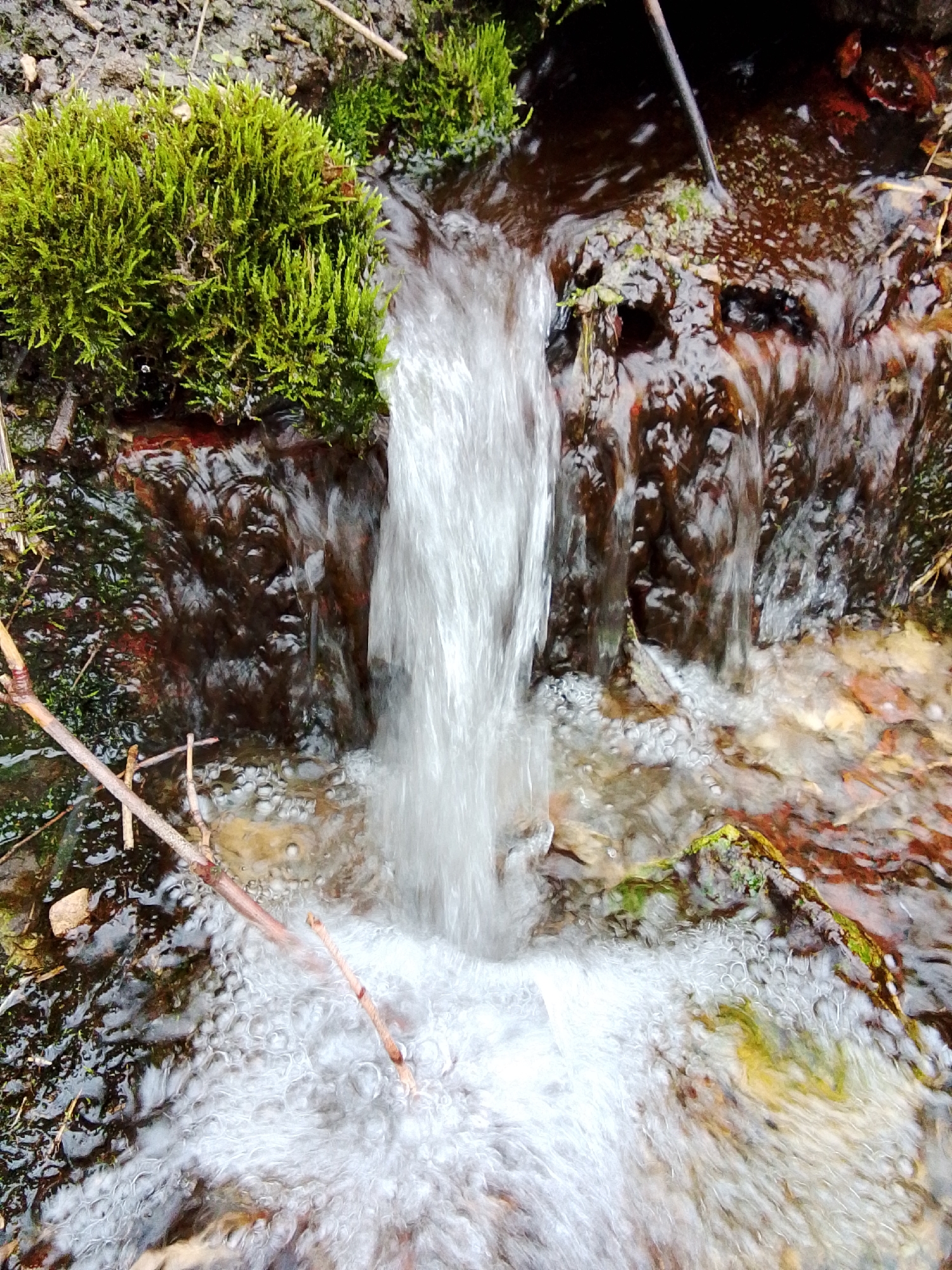 A close-up, high-angle photograph captures a small natural waterfall or cascade in a stream. The central focus is the dynamic flow of water, which plunges downwards in a frothy, white stream, creating a blur effect due to its rapid movement.
The water originates from the upper section of the image, cascading over dark, textured rocks that are partially submerged and wet. On the upper left and right banks, vibrant clusters of bright green, cushion-like moss thrive on the damp rock and soil. The moss stands out distinctly against the darker browns and grays of the wet environment.
Below the main cascade, the water churns into a bubbly pool, with numerous small white air bubbles visible on the surface. Several thin, light brown branches and twigs are scattered across the scene, some partially submerged in the water, particularly in the lower left and center. The stream bed below the fall appears shallow, revealing submerged stones and patches of reddish-brown sediment or organic matter through the clearer water.
The overall setting suggests a natural, possibly wooded or wild environment, characterized by rough terrain, moss growth, and flowing water. No people or artificial objects are present. The scene is illuminated by natural light, indicating it is daytime. No visible text is present in the image. The location context for this natural stream is Khlevnoye, Russia.