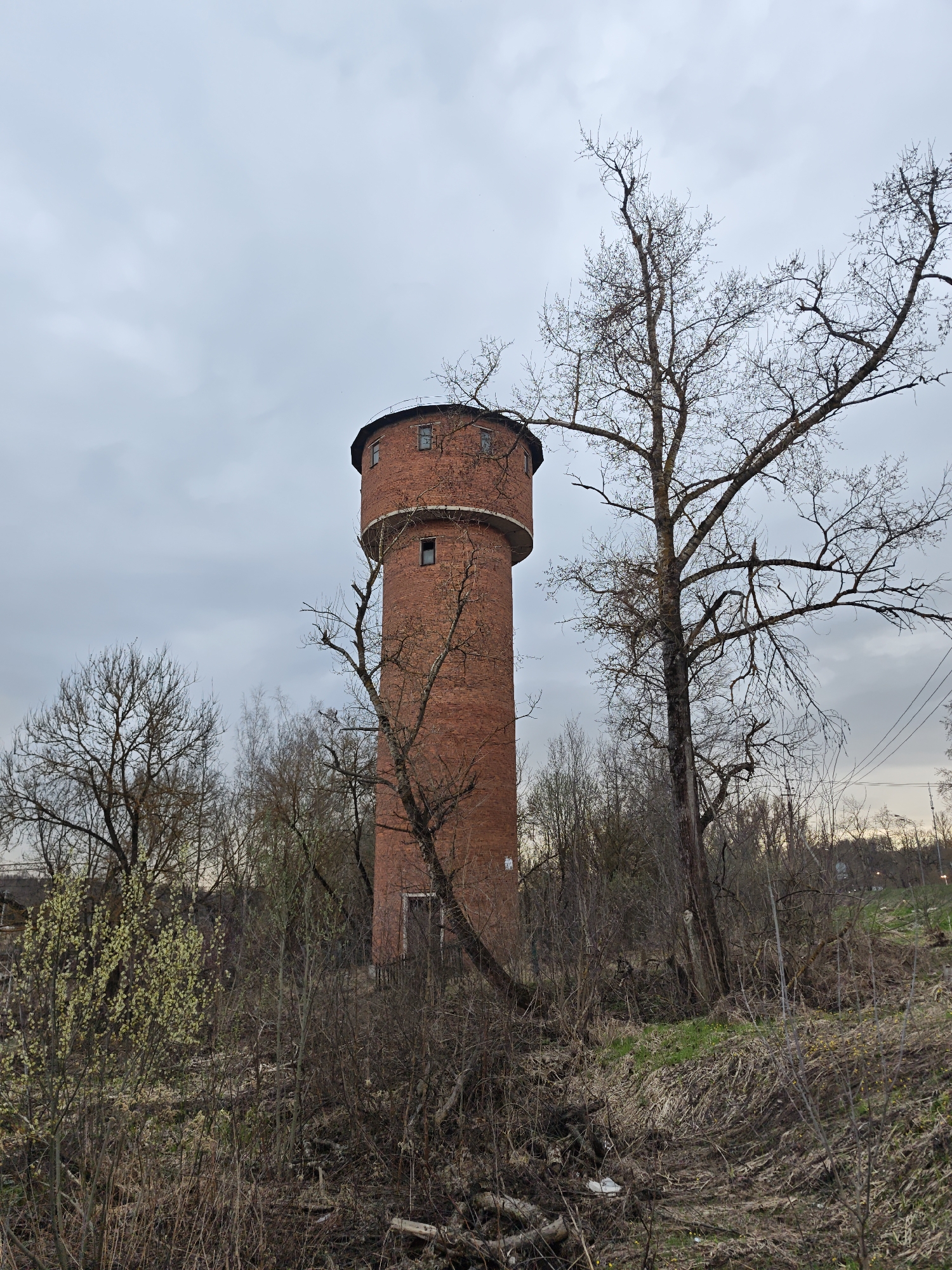 A tall, cylindrical brick water tower dominates the center of the image, set against an overcast sky in what appears to be early spring in Iksha, Russia. The tower is constructed from reddish-brown bricks and topped with a dark, possibly metal, conical roof. Several small, rectangular windows are visible on its upper section, with one larger window lower down the main shaft.
The tower is surrounded by a dense, somewhat wild landscape. Numerous trees, mostly bare of leaves, frame the structure, their skeletal branches reaching towards the gray sky. Some smaller trees and bushes in the foreground show early signs of spring, with light green or yellowish buds and catkins. The ground is covered with dry grass, tangled underbrush, and fallen branches, suggesting an untended area. A subtle dip or ditch filled with dry vegetation is visible in the lower right.
The sky is a uniform, light gray, indicative of an overcast day, and casts a soft, diffused light over the scene. The muted colors of the environment—red-brown brick, dark tree branches, and pale sky—contribute to a serene, almost melancholic atmosphere. No human figures or activities are depicted, emphasizing the quiet solitude of the setting. Faint glimpses of distant landforms or structures and power lines can be seen through the trees in the background. There is no visible text in the image.