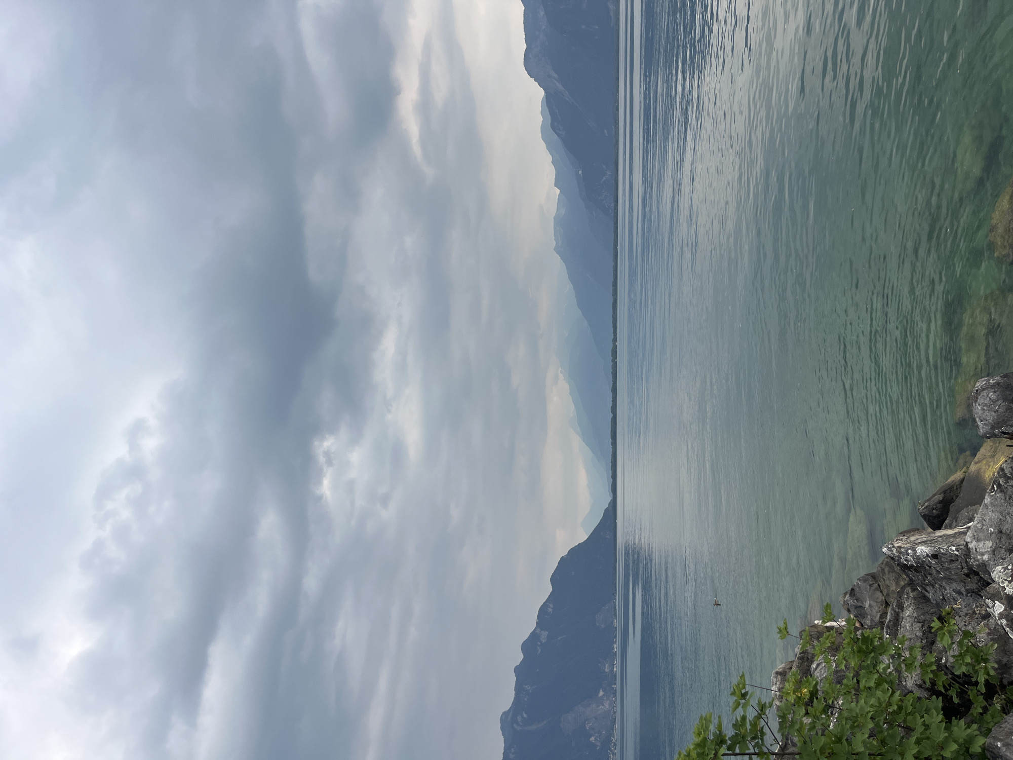 The image depicts a serene, overcast day by the shores of Lake Geneva (Lac Léman) in Montreux, Switzerland. In the foreground, rough, gray rocks and a vibrant green tree with small leaves line the left bank, leading into the clear, shallow water. The lake itself is a tranquil expanse of greenish-blue, with visible rocks beneath the surface near the shore. In the distance, a series of imposing, dark blue mountains rise, their peaks softened by the atmospheric haze and muted by the cloudy sky. The sky is filled with a dense layer of gray clouds, with lighter patches suggesting diffused sunlight. A lone bird is visible in the water, creating a small ripple. The overall atmosphere is one of calm and natural beauty, characteristic of the Montreux region.