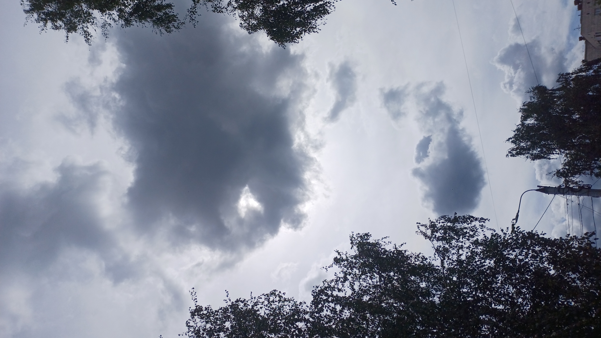 The image captures a view of the sky in Izhevsk, Russia, with a prominent dark cloud formation partially obscuring the lighter, overcast sky. Trees with dark foliage are visible in the foreground on the left and right sides, with their branches reaching towards the sky. A street light pole with wires is situated in the lower center of the image, with another pole and some building structures visible in the background on the right. The overall atmosphere is subdued, likely due to the cloud cover. There are no people or active interactions depicted.