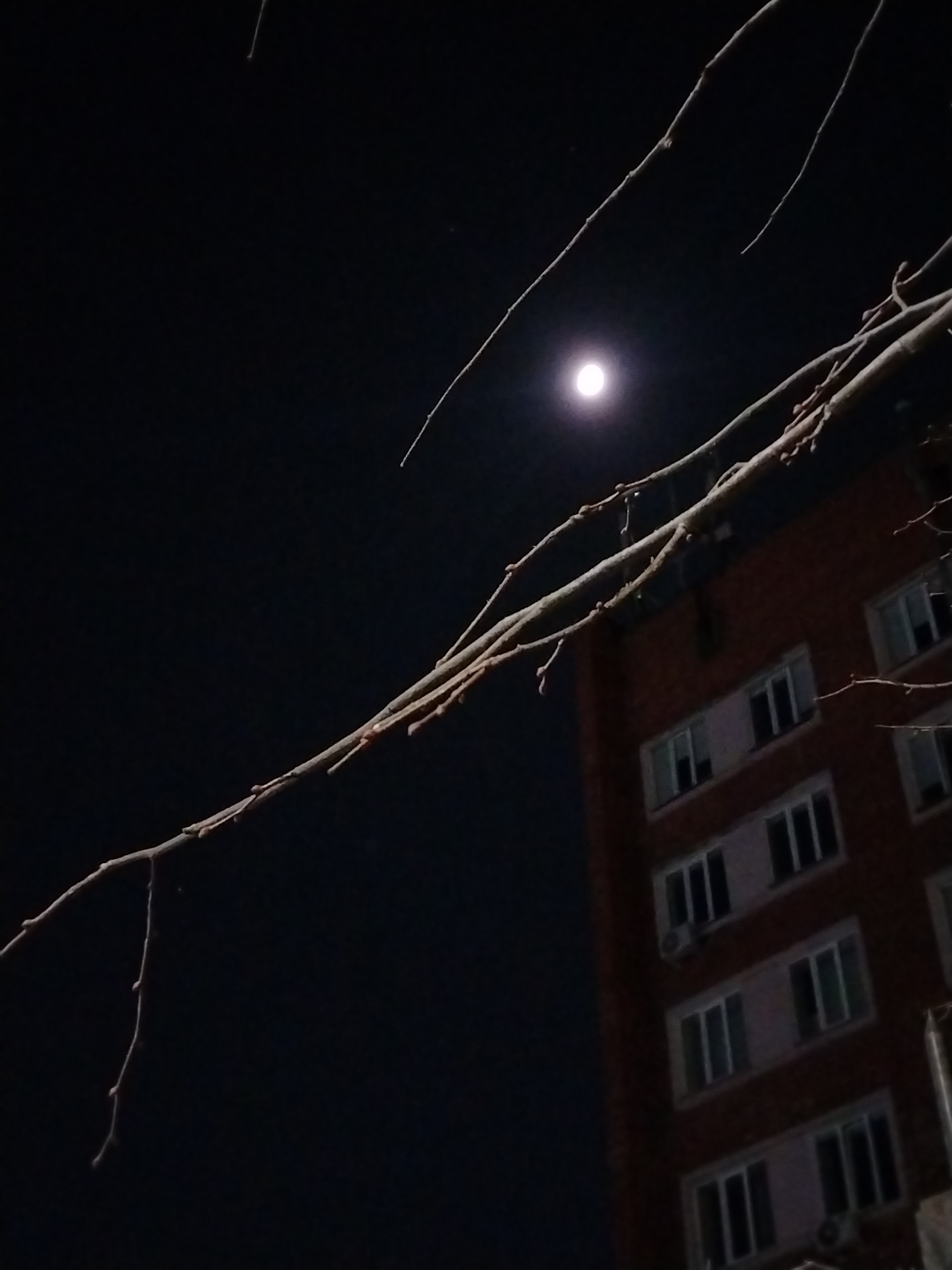 A nighttime scene in Izhevsk, Russia, shows a dark sky with a bright, circular moon positioned in the upper left quadrant. Bare, deciduous tree branches, displaying small buds, extend diagonally across the upper and middle portions of the frame from the upper left towards the lower right. In the right half of the image, a multi-story building constructed of reddish-brown brick is partially visible. The building features multiple rectangular windows, appearing dark or reflective, arranged in horizontal rows. At least two external air conditioning units are mounted on the building's facade below windows. No human or animal subjects are visible, and no actions or interactions are depicted.