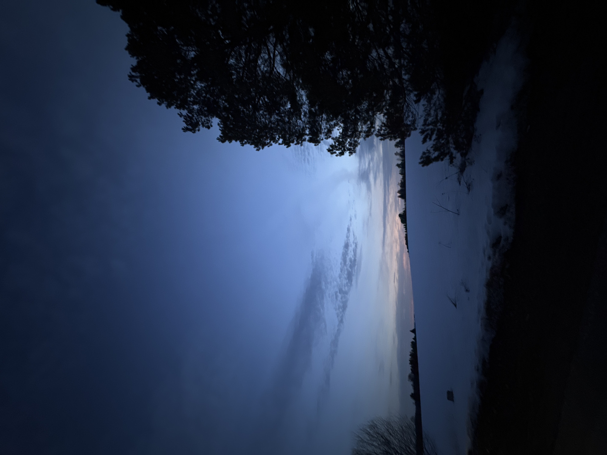 The image displays a wide outdoor view of a snow-covered landscape in Lukintsy, Russia, captured during twilight. The upper two-thirds of the frame are dominated by a dark blue sky, gradually transitioning to lighter blue and faint pinkish-orange hues near the horizon, where several streaky and diffused cloud formations are visible. A large, dark coniferous tree, likely a pine, is silhouetted against the sky on the far right, with its dense foliage extending into the upper right quadrant. The midground consists of an expansive, gently undulating field completely covered in snow, showing variations in blue and white tones under the ambient light. A dark, undefined strip of ground or road runs along the bottom edge of the image, bordering the snow. On the distant horizon, a line of dark tree silhouettes marks the boundary between the snowfield and the sky. A partial silhouette of a bare deciduous tree is visible on the far left. No individuals, animals, or specific actions are depicted.