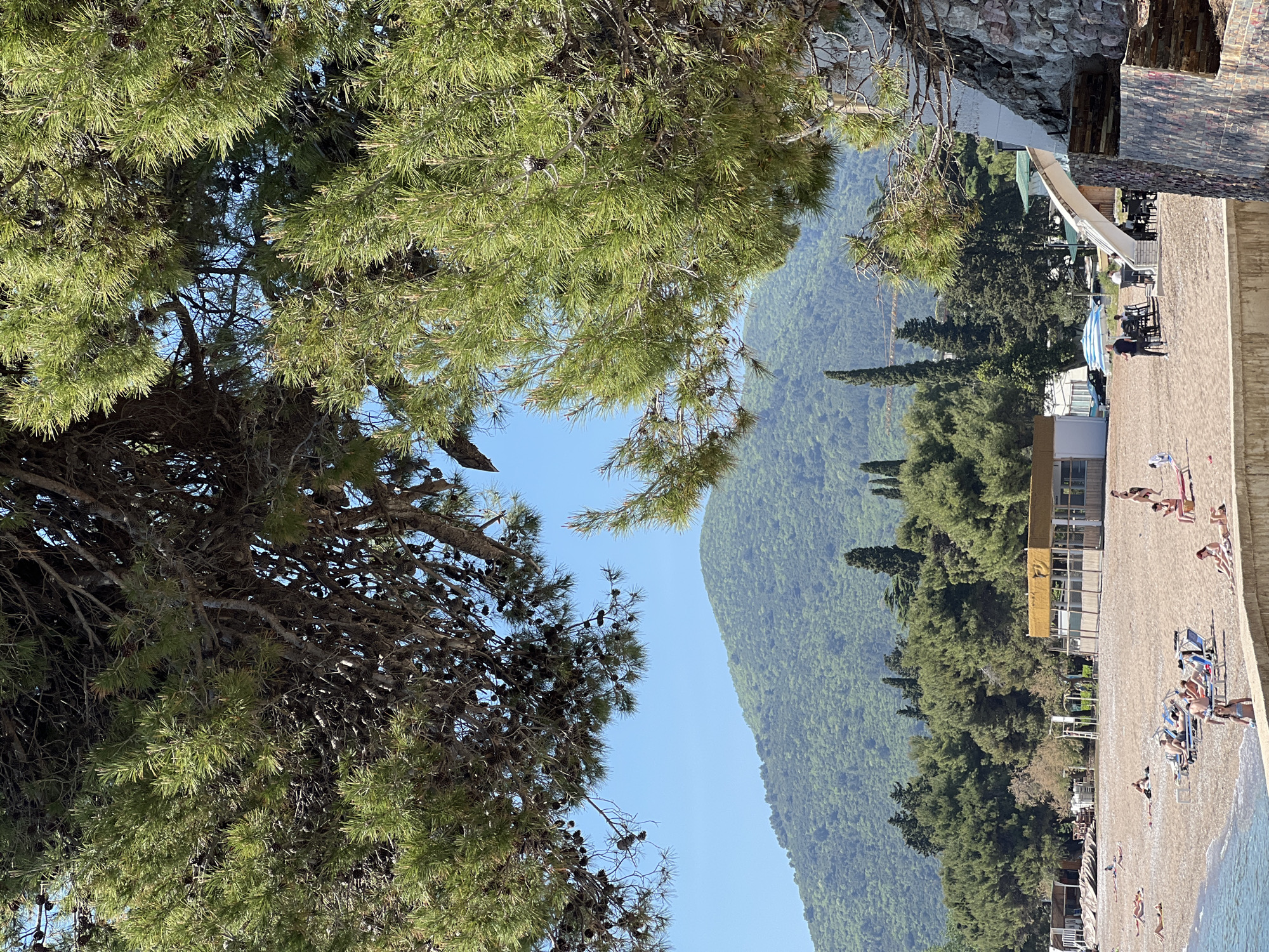 This image presents a vibrant coastal landscape, consistent with the description of Budva, Montenegro, on a bright, sunny day. The scene is dominated by a clear blue sky and lush greenery.
In the immediate foreground, dense pine trees with numerous needles and visible pine cones frame the upper and left portions of the view, casting some shadows and creating a natural window to the scene beyond.
Beyond the foreground trees, a expansive, verdant mountain range covered in dense forest stretches across the horizon under the clear sky, indicating a rugged, natural coastline.
To the right of the frame, a wide sandy or pebbly beach extends along the coast. Numerous people are scattered across the beach, engaged in leisure activities. Some are relaxing on sun loungers, while others are standing or walking near the water's edge. A few individuals are partially in the calm, blue sea.
Along the back of the beach, several structures are visible. A prominent beach bar or restaurant building with a light-colored awning stands out, and next to it, a smaller white building clearly displaying the text "WC" on its side. Other beach amenities like sun loungers and umbrellas are also present. The bright sunlight and absence of clouds suggest a perfect day for beach activities. The overall mood is one of relaxation and enjoyment.
