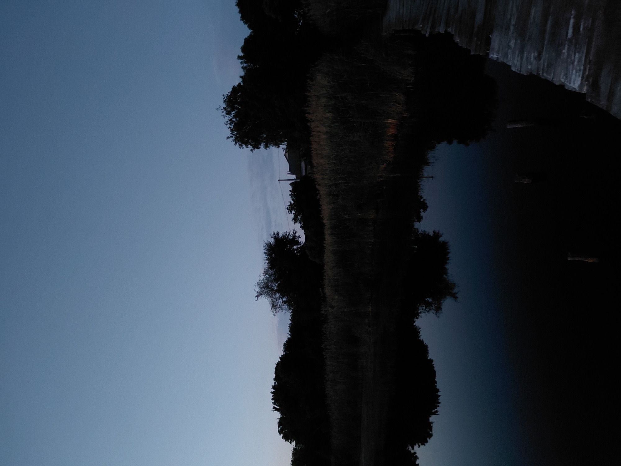 A serene dusk scene unfolds at a body of water in Ustyvytsia, Ukraine, with a wooden dock in the foreground. The water, dark and still, reflects the silhouettes of trees and reeds lining the opposite bank. The sky above is a gradient of deep blue, transitioning into lighter shades near the horizon. A few wisps of clouds are visible. Trees dominate the background, their dark forms contrasting with the pale sky. Reeds and tall grasses grow along the water's edge, creating a natural barrier between the water and the trees. A few wooden posts rise from the water near the dock, likely remnants of a former structure. The overall atmosphere is peaceful and tranquil, characteristic of a rural evening.