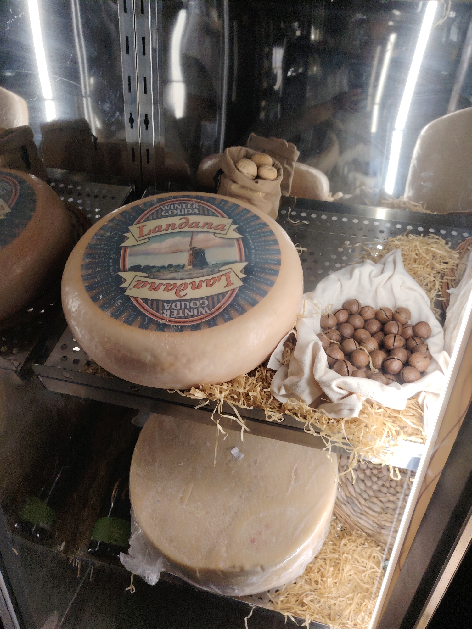 The image displays a variety of cheeses and nuts displayed within a refrigerated case. In the foreground, a large wheel of Landana Winter Gouda cheese is prominent, with its label clearly visible. To the right of the cheese wheel, a white cloth bag filled with macadamia nuts is shown, nestled in straw-like material. Behind the Landana cheese, another large, unlabelled wheel of cheese is visible. Further back, to the left, is a partial view of another cheese wheel. The background reveals reflections in the glass of the refrigerated case, showing lighting fixtures and a person's silhouette. The overall environment suggests a food retail setting, likely a cheese shop or a specialty section in a market. The location of Konigil, Uzbekistan is not depicted in this image.
