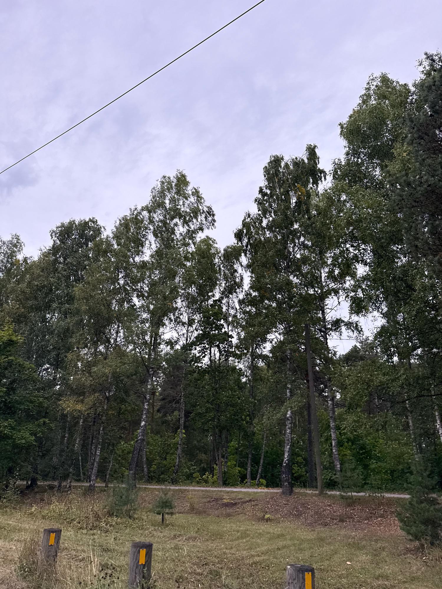 The image shows a view of a wooded area with a path winding through it. The trees are a mix of deciduous and coniferous varieties, with lush green foliage. In the foreground, there are two wooden posts with yellow markers, possibly indicating a trail or boundary. The sky is overcast and cloudy. There is a power line running diagonally across the top of the frame. The scene appears to be in a park or natural area, likely on the outskirts of a city. Given the mention of Tallinn, Estonia, this could be a section of one of its many parks or forests, such as the Pirita Forest or Nõmme Forest, which are known for their extensive wooded areas and walking trails. The overall atmosphere is natural and somewhat subdued due to the cloudy weather.