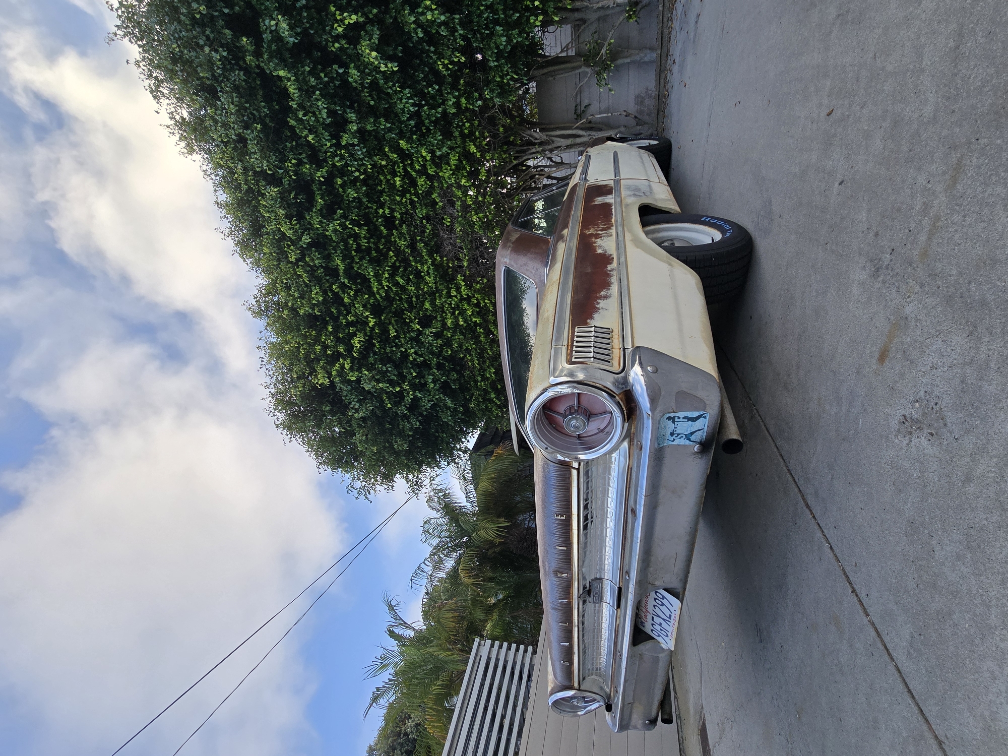 An eye-level, low-angle outdoor medium shot captures the rear quarter of a vintage, two-door Ford Galaxie 500 coupe, likely a 1963 model, parked on a concrete driveway in Encinitas, California. The car is painted in a two-tone cream and brown color scheme, with the brown sections exhibiting significant rust and patina, indicating a weathered or intentionally distressed finish. The chrome bumper, taillight bezels, and trim pieces are visible and appear to be in fair condition, with some minor pitting. A California license plate, reading "9GFX299," is mounted centrally on the bumper, below which is a light blue sticker depicting two figures in a wrestling pose. The car's wide rear tires with blue lettering suggest aftermarket modifications.
Behind the car, a dense, dark green hedge forms a natural wall, separating the property from a lighter gray fence. To the left of the car, a white slatted fence and several palm trees suggest a warm, coastal climate. The sky above is partly cloudy, with large, fluffy white clouds against a bright blue background, and overhead power lines are visible. The concrete ground shows some minor discoloration and a faint tire mark. The overall impression is one of a classic American automobile in a relaxed, possibly residential, outdoor setting.