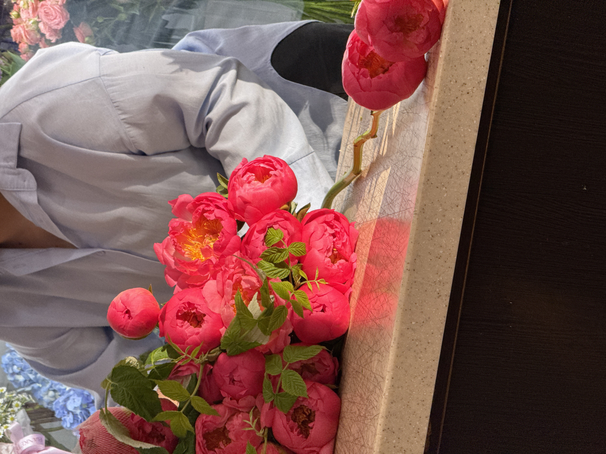 The image shows a close-up of a bouquet of vibrant pink peonies, held by a person wearing a light blue collared shirt. The flowers are a mix of fully bloomed and budded peonies, with some delicate green foliage interspersed. In the background, hints of other flowers, including soft pink roses and blue hydrangeas, are visible, suggesting a larger floral arrangement or a setting with multiple bouquets. The scene appears to be indoors, possibly in a flower shop or a home setting, given the presence of a countertop and a dark wooden surface. The lighting suggests daytime. The focus is primarily on the texture and color of the peonies. There are no discernible emotions conveyed by the person, as only their attire and hands are partially visible. No text is clearly legible in the image. The context provided places this scene in Assinovskaya, Russia.
