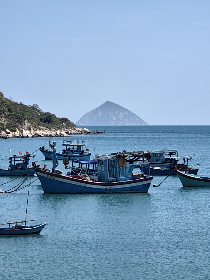 Several vibrant blue fishing boats are moored in a tranquil, light-blue sea. The boats are of varying sizes, some with intricate window detailing. A low, rocky coastline with green vegetation stretches along the left, contrasting with a symmetrical, pyramid-shaped mountain in the distant horizon. The sky is clear and light blue.