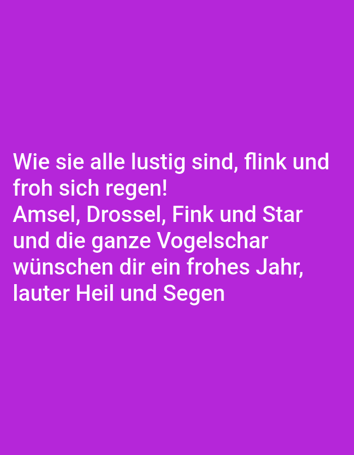 The image contains a text overlay on a solid purple background. The text, in white, is a German poem. The poem reads: "Wie sie alle lustig sind, flink und froh sich regen! Amsel, Drossel, Fink und Star und die ganze Vogelschar wünschen dir ein frohes Jahr, lauter Heil und Segen". There is no discernible location in the city of Tallinn, Estonia, or any other specific environmental details, as the image is a simple text graphic.