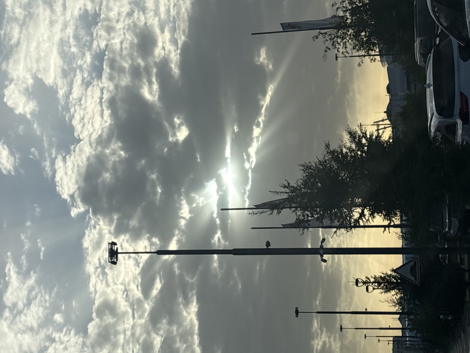 The image displays a dramatic and highly contrasted urban sky in Astana, Kazakhstan, likely captured during either sunrise or sunset. The bright sun, partially obscured by clouds, is positioned in the upper middle, casting striking crepuscular rays that fan out through the grey and white cloud formations. The sky transitions from a luminous golden-white near the sun to deeper greys and blues in other cloudy sections.
In the mid-ground and foreground, various man-made structures and natural elements are silhouetted against the bright sky. Several tall, slender poles, appearing to be streetlights, extend vertically throughout the scene. A prominent streetlight on the mid-left features a large, square multi-light fixture. A smaller dark shape, possibly a bird, is perched on one of the horizontal elements of a pole further to the right. More poles, some with round fixtures, recede into the distance towards the bottom right.
Dense foliage and trees, heavily silhouetted, frame the right and bottom portions of the image, their dark branches sharply defined against the lighter horizon. Partially visible cars, including the rear of a white sedan or SUV, are parked on the far right, also in silhouette. Faint outlines of distant buildings can be discerned against the brighter, glowing horizon. A triangular yield sign is partially obscured by foliage in the bottom right. Two flags or banners are attached to poles in the upper right, one of which shows faint, illegible text. The scene conveys a sense of serene grandeur due to the powerful interplay of light and clouds.
