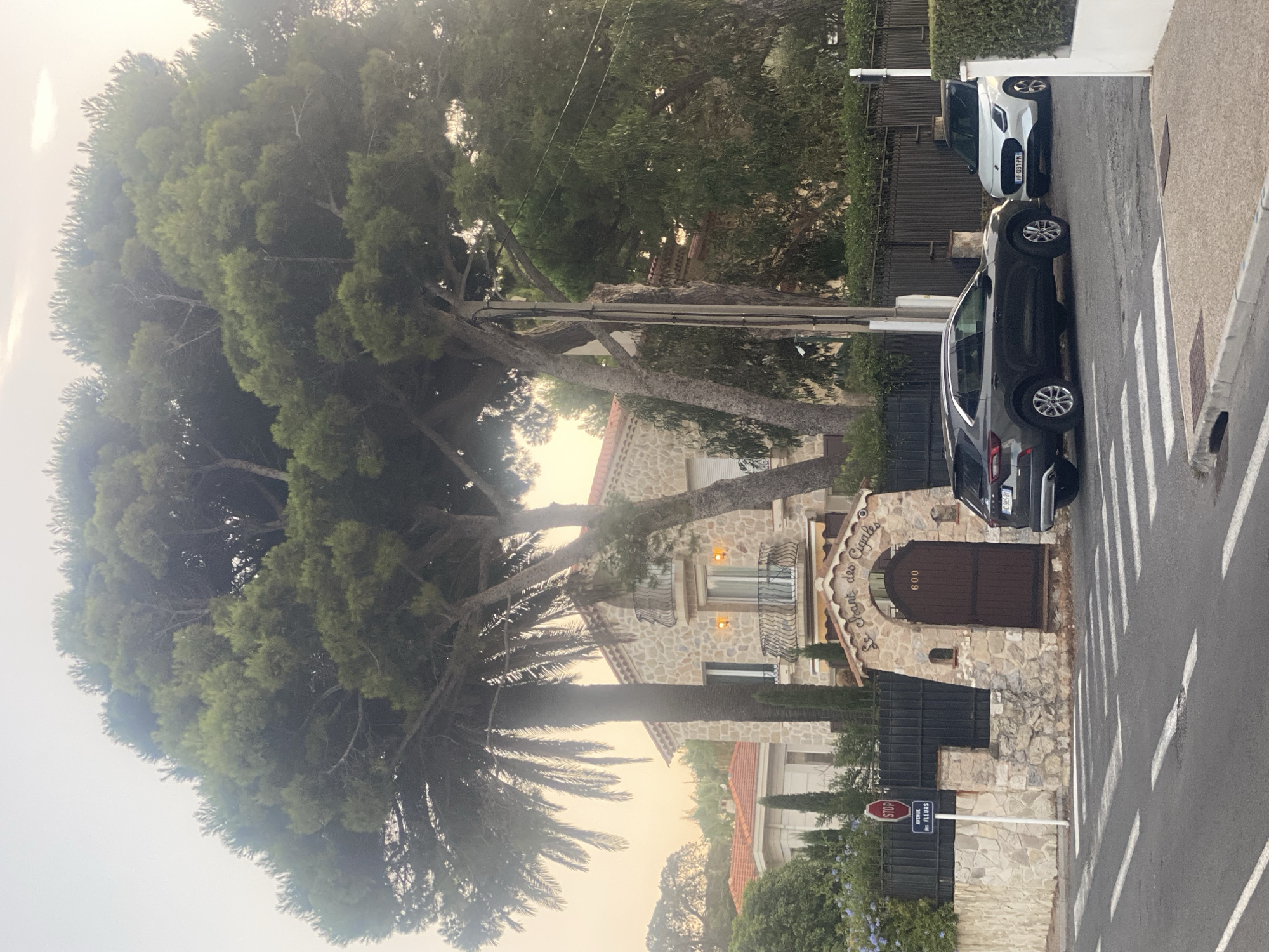 The image shows a street scene in Antibes, France. In the foreground, a crosswalk is visible on a paved road. To the right of the crosswalk, two cars are parked on the side of the road: a dark gray SUV and a white compact car.
Behind the cars, there is a stone wall and a black metal fence. A large wooden gate is set into the stone wall, with the number "600" above it and the text "Le Chant des Cigales" in an archway above the gate. To the left of the gate, a stop sign with a street sign that reads "AVENUE des FLEURS" is mounted on a pole.
A large stone house with a red-tiled roof is visible behind the fence. The house has balconies with ornate railings. A tall palm tree and a large pine tree are prominent in the scene, with their branches extending over the house and the street. The sky is hazy and appears to be either sunrise or sunset. The overall environment suggests a residential area with mature landscaping. There are no people visible in the image.