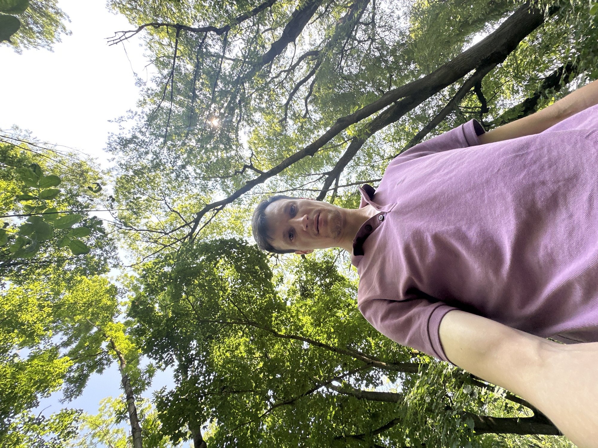The image is a low-angle, wide shot of a man in a light purple polo shirt standing outdoors, looking upwards at the viewer. The man is the primary subject, positioned in the lower center of the frame. He has short brown hair and is looking directly at the camera with a neutral expression. His left arm is extended towards the camera, suggesting the photo was taken with a selfie-style grip.
The background is dominated by the dense canopy of trees, with bright green leaves and dark branches crisscrossing the frame. Sunlight filters through the leaves, creating dappled light and a bright sky visible in the upper portion of the image. Some of the tree trunks are visible, appearing to be in a natural, wooded environment. The scene appears to be within a forest or a park with mature trees.
No specific details about the location within Makiv, Ukraine are discernible from the image itself. The image captures a moment of a person interacting with their natural surroundings.