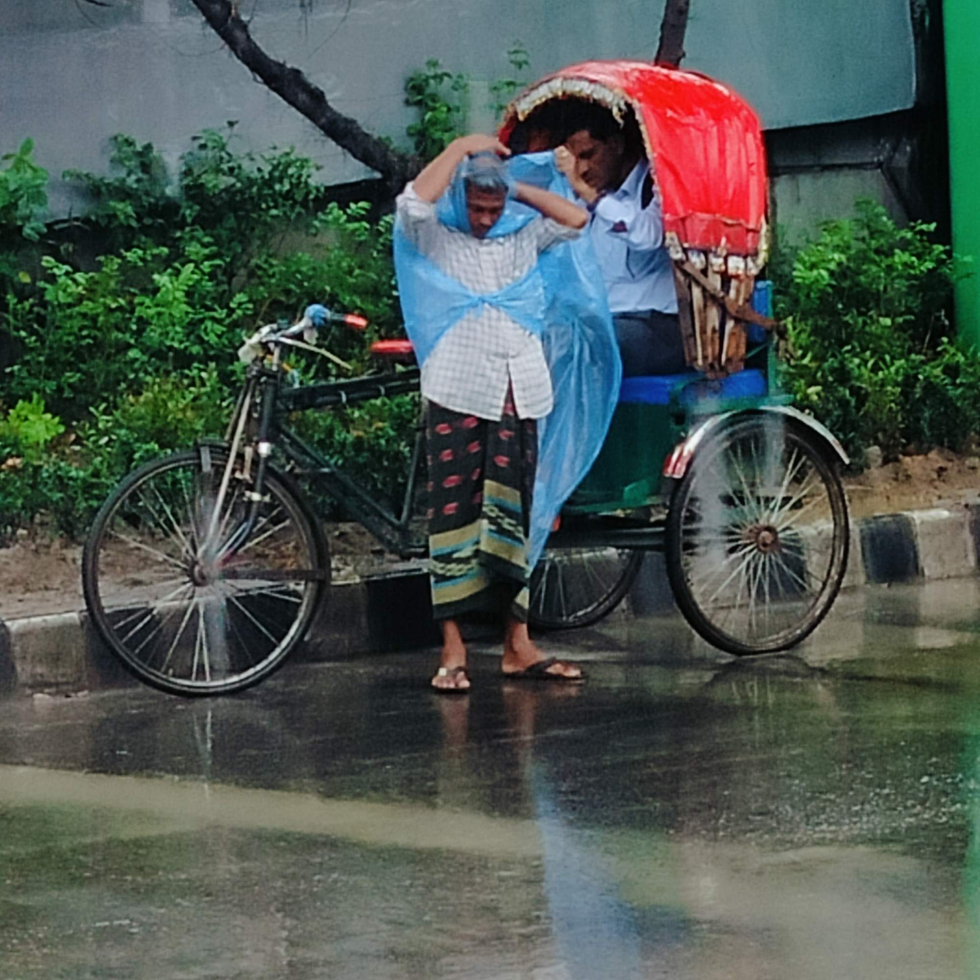 A man wearing a white, plaid, button-down shirt and a patterned lungi is putting on a translucent blue plastic poncho in the rain. He is in front of a black, three-wheeled bicycle rickshaw with a red canopy under which sits another man in a light blue, button-down shirt. The ground is wet, reflecting light, indicating recent or ongoing rain. There are green bushes behind the rickshaw and a gray sidewalk on the right. The location is Dhaka, Bangladesh.