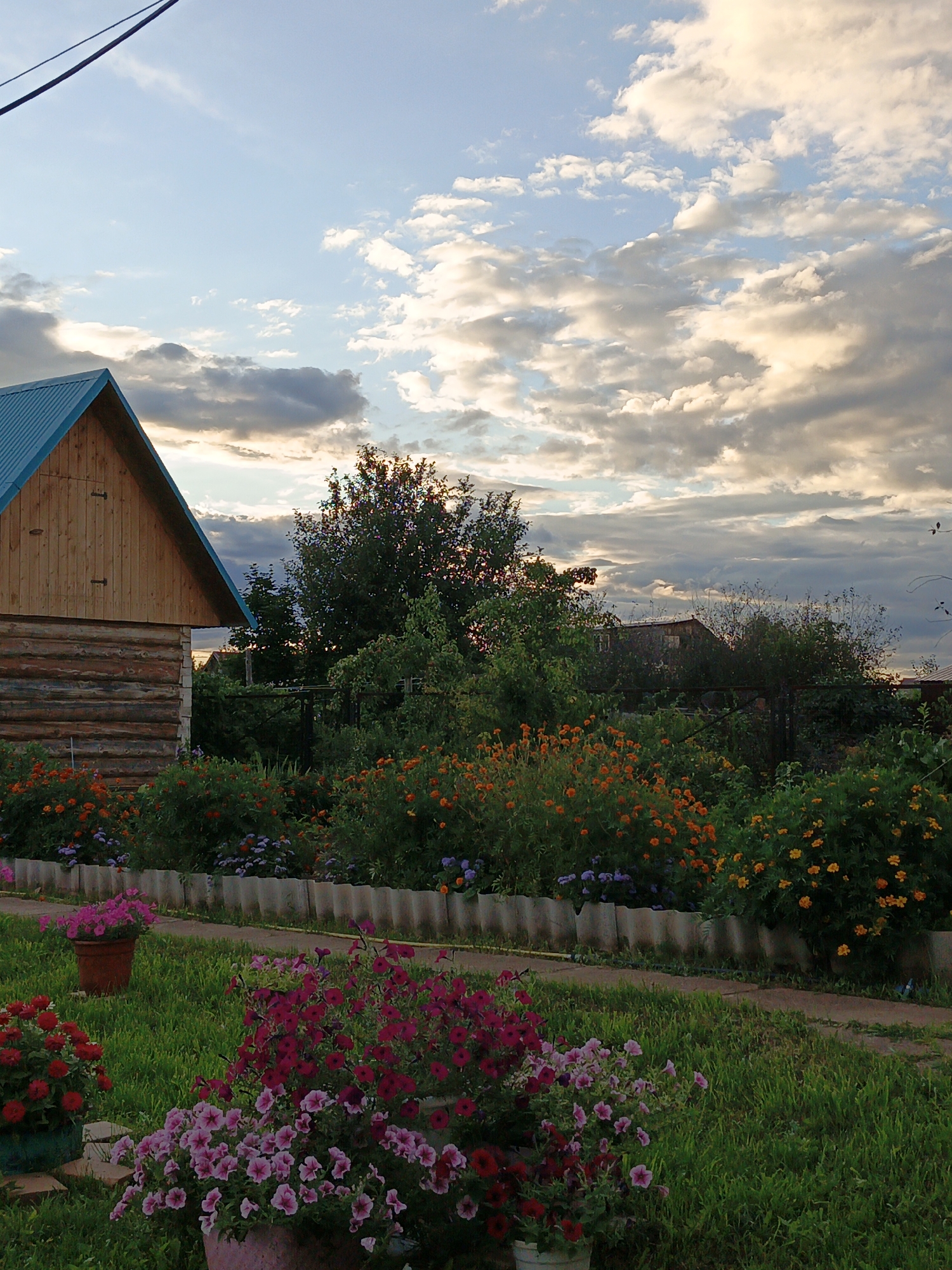 A wooden house with a blue roof and visible log construction is situated on the left side of the image, partially obscured by a row of vibrant orange and yellow flowers. In front of the house, a well-maintained lawn is dotted with various potted flowers, including pink and red petunias and red zinnias. A narrow pathway runs through the grass, bordered by a low, segmented concrete barrier. Behind the flowers and pathway, dense green foliage and trees form a backdrop. In the distance, another building is visible through the trees. The sky above is a mix of blue and dramatic clouds, illuminated by what appears to be the soft light of either sunrise or sunset. The overall scene depicts a rural or semi-rural setting, likely a garden or yard adjacent to a residential property. The image is dated as July 31, 2018, in Olkhovka, Russia. There are no people or animals present in the scene.