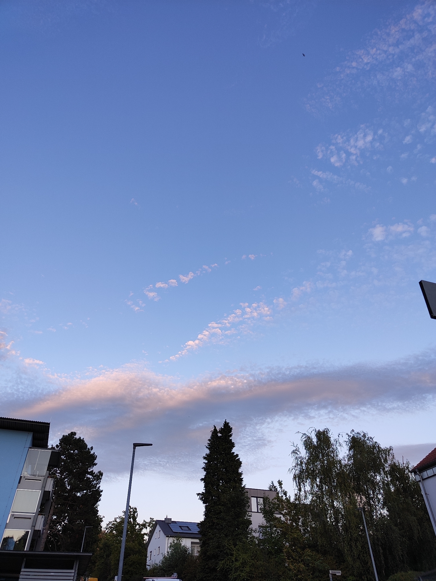 The image depicts a sky with scattered clouds tinged with pink, suggesting either sunrise or sunset. A small, dark bird is visible in the upper portion of the sky. Below the sky, the scene transitions to a residential area. On the left, a light blue building with multiple windows and balconies is partially visible. Adjacent to it are dark green coniferous trees. In the center, a tall, dark green tree with a conical shape stands out, and a modern streetlight with a single lamp is positioned in front of it. To the right of this tree, a white house with a gray roof and solar panels is visible, with several trees in front of it, some appearing to be weeping willows. A street sign is partially obscured by foliage. A dark, angled object, possibly a sign or part of a structure, is visible in the upper right corner. The overall environment appears to be a suburban or urban residential setting in Offenburg, Germany.