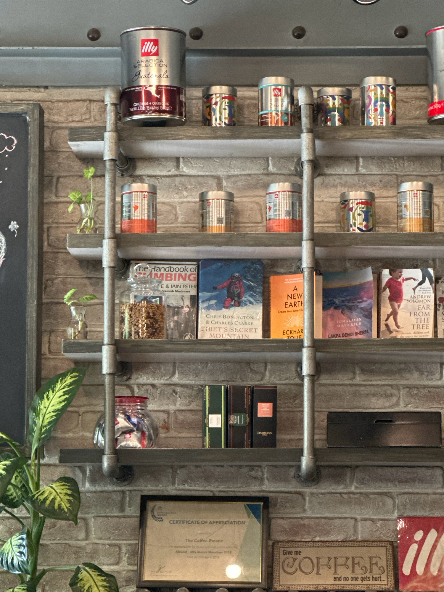 This is a medium shot, eye-level, interior shot of a retail shelf displaying various products, likely in a coffee shop, with a brick wall as the background. The shelves are made of grey wood and supported by industrial-style metal pipes.
On the top shelf, from left to right, are three cylindrical metal cans with colorful abstract designs. Next to them are two identical silver cans with red accents and text. Further to the right are two more colorful cylindrical cans.
The second shelf, from top to bottom, features several smaller cylindrical cans. The first can on the left has a red label. Next to it are three silver cans with colorful, abstract face designs.
The third shelf has a variety of items. On the left, there is a glass jar filled with what appears to be small coffee beans or snacks. To its right are three books. The first book has a blue cover with a person in red climbing gear. The second book has an orange cover with the title "A NEW EARTH". The third book has a cover depicting a sunset over mountains. To the right of the books is a framed picture of a young child running on a beach.
The fourth shelf holds a glass jar with a red lid, containing individually wrapped packets, possibly of coffee or sugar. Next to it are two dark-colored books, one with a gold spine and the other with red text. To the right of these books is a dark rectangular box.
The bottom section of the image shows a framed certificate titled "CERTIFICATE OF APPRECIATION" and a small sign that reads "Give me COFFEE and no one gets hurt...". To the far right, a red and white "illy" logo is visible. A large green plant with variegated leaves is positioned on the left side of the frame.
The location is identified as Kathmandu Metropolitan City, Nepal. The overall atmosphere suggests a commercial setting, likely a place that sells coffee and related products. The lighting is natural, coming from the left, creating soft shadows.