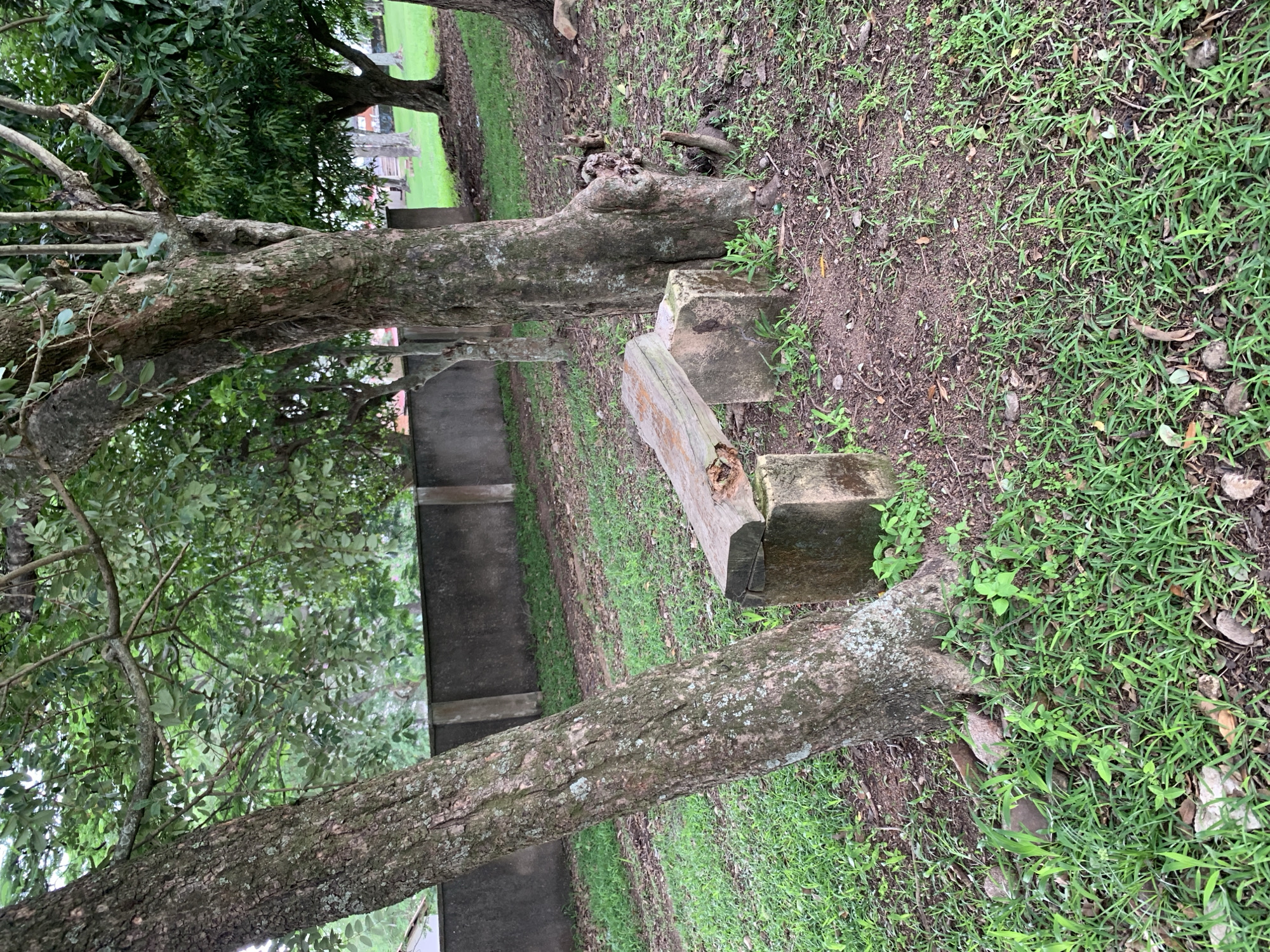 The image depicts an outdoor scene in the city of Jos, Nigeria. In the foreground, a weathered wooden bench rests on two concrete blocks, positioned between two large trees. The ground is covered with green grass and scattered dry leaves and small rocks. A low, grey concrete wall runs along the background, with more trees and vegetation visible beyond it. The lighting suggests it is daytime, possibly overcast or late afternoon. No people are present in the image.