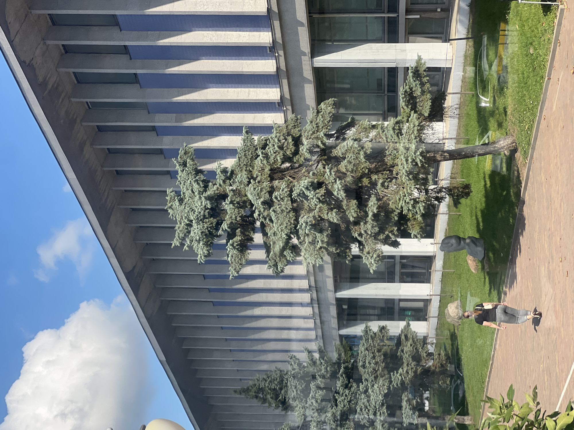 A woman is walking away from the camera on a paved path in front of a modern building with vertical concrete and blue striped facade elements. She is wearing a dark t-shirt, grey jeans, and high heels. Several evergreen trees are positioned in front of the building and on the grassy lawn. In the background, there are large clouds in a bright blue sky. The scene appears to be an outdoor public space.
