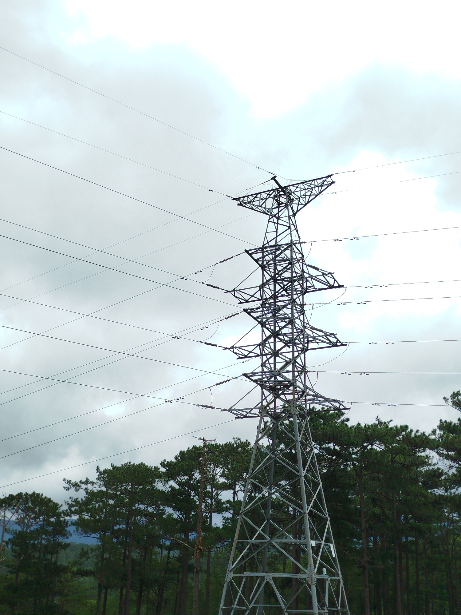 The image depicts a tall, lattice steel electricity pylon set against a cloudy sky, with a forest of pine trees in the background. The pylon is massive and complex, with multiple levels and a wide base. Several thick power lines extend from the top of the pylon, crisscrossing the sky. The pine trees are dense and green, suggesting a natural or semi-rural environment. The scene appears to be located in Lam Vien Plateau, Da Lat, Vietnam, a region known for its pine forests and cooler climate. The lighting is subdued due to the overcast conditions. No people are visible in the image.