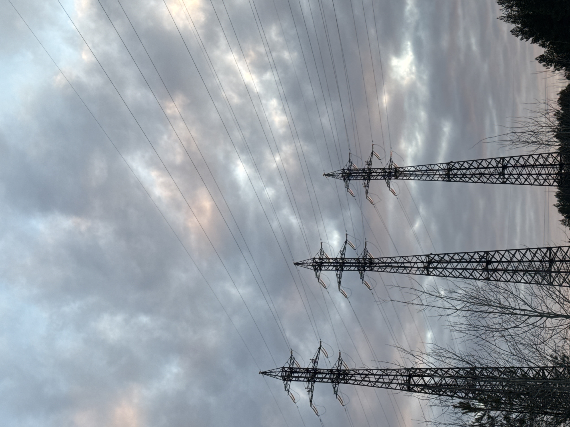 Noviy, Russia: The image displays an outdoor scene featuring three large lattice-steel electricity pylons positioned in the mid-ground, extending vertically from the bottom of the frame. Each pylon supports multiple parallel power lines that traverse the upper and mid-sections of the image. The sky is overcast with varying shades of grey clouds, exhibiting subtle areas of pale pink, orange, and light blue. In the foreground and background, a mixture of bare deciduous trees and dark coniferous trees (pines) forms a dark, irregular line along the lower portion of the image. No human subjects or discernible actions are present.