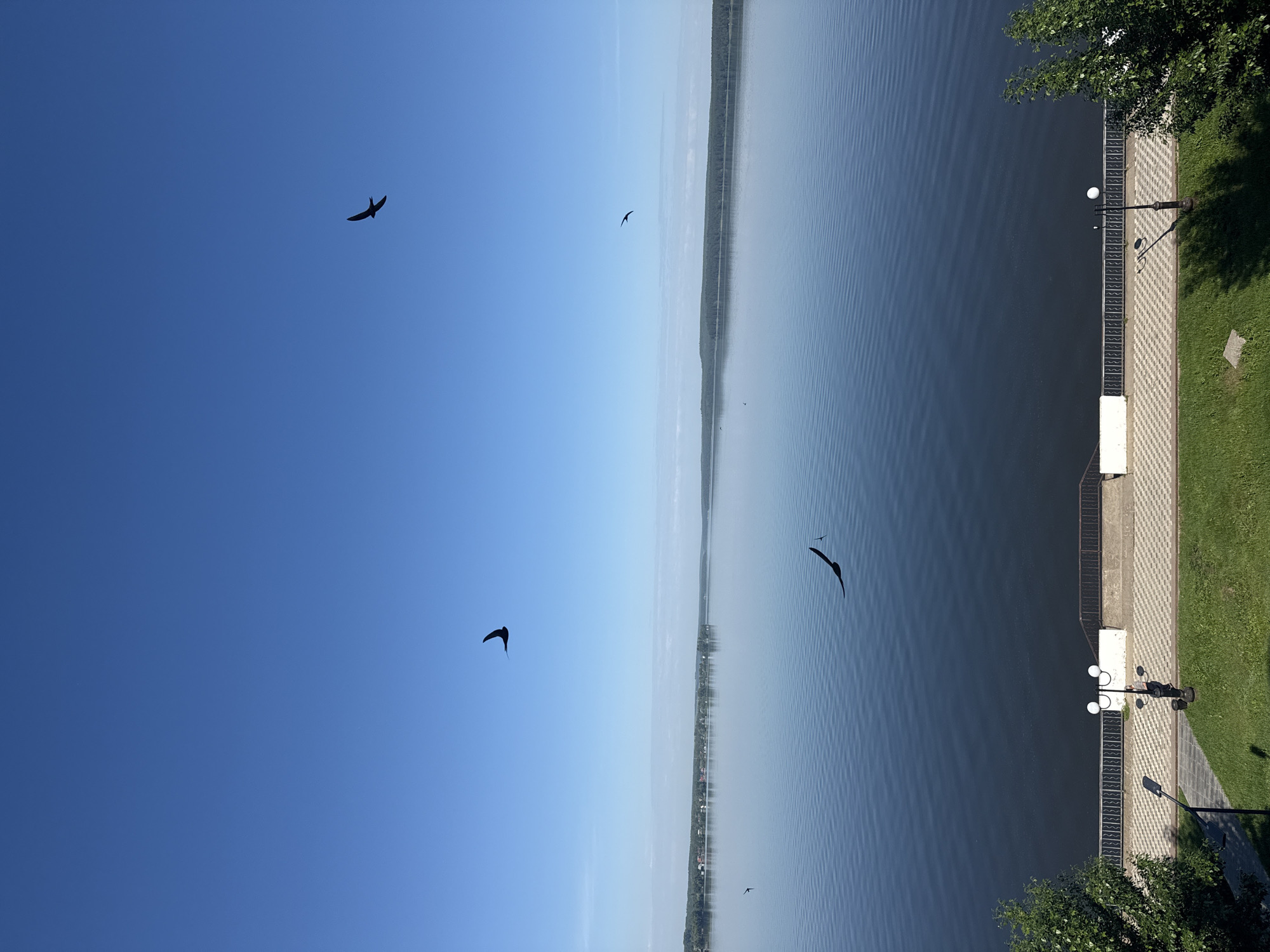 A serene scene unfolds under a clear blue sky, overlooking a wide, calm body of water, likely the Votkinskoye Reservoir, in Votkinsk, Russia. The water, a deep, tranquil blue, exhibits subtle ripples, reflecting the sky and the distant tree-lined horizon. Along the near bank, a paved walkway, bordered by a black metal railing, runs parallel to the water's edge. Decorative lampposts punctuate the walkway, casting long shadows on the checkered pavement. Lush green grass covers the area beyond the walkway, with mature trees framing the left and right edges of the frame. Four dark silhouettes of birds are captured in mid-flight against the vast expanse of the sky.