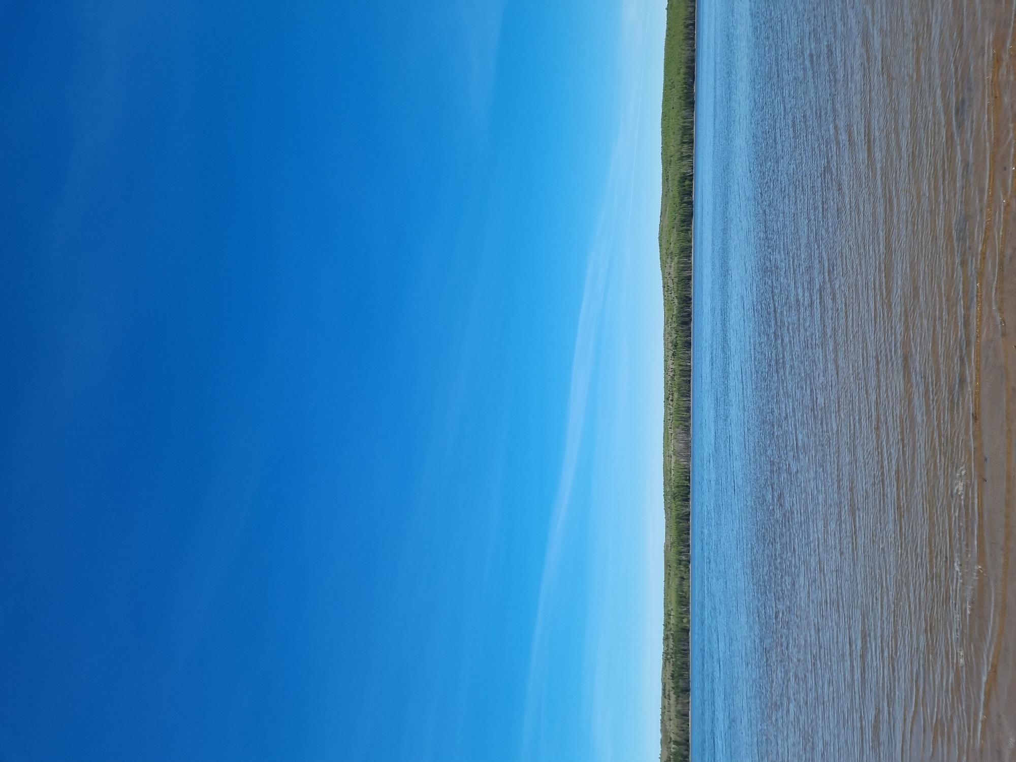 An outdoor shot of a river bordered by trees and a beach under a clear blue sky. The location is possibly in the city of Chaikovsky, Russia. The water shows ripples indicating possible movement. The beach consists of light brown sand.