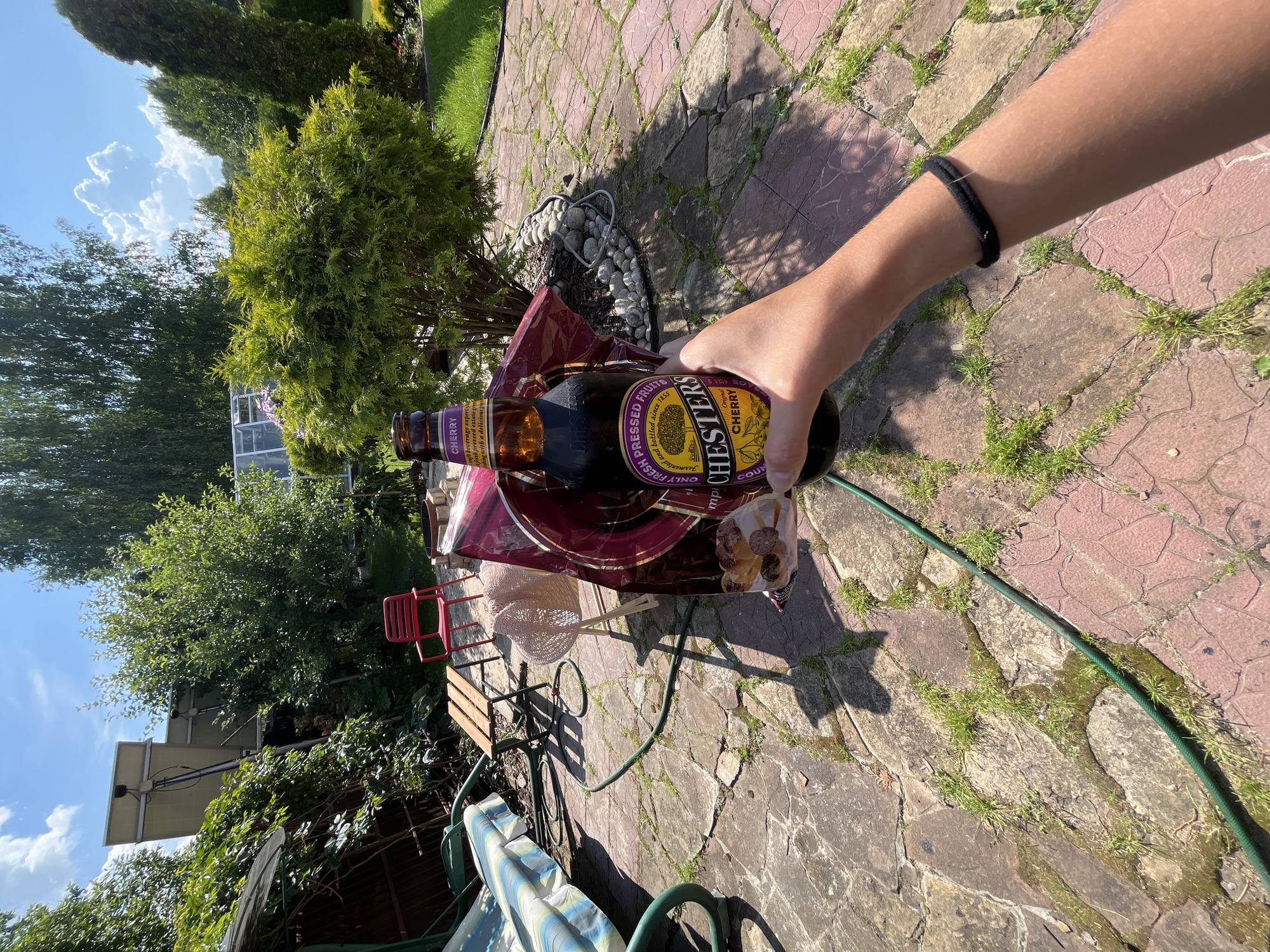 In Вельяминово, Russia, a person's hand holds a bottle of Chester's Original Cherry beverage. The bottle is brown glass with a purple and yellow label featuring the Chester's logo and text indicating "CHERRY". The bottle is positioned in the foreground, obscuring part of a red plastic chair and a straw hat placed on a small wooden table. Behind the table, a swing set with a striped cushion is visible. The ground is paved with irregular, light-colored stones, with patches of green grass growing between them. A green garden hose snakes across the paving stones. In the background, lush green trees, bushes, and solar panels are visible under a bright blue sky with scattered white clouds. The scene appears to be a backyard setting on a sunny day.